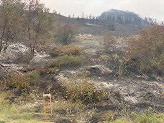 Eagle Bluff Fire Burn Scar