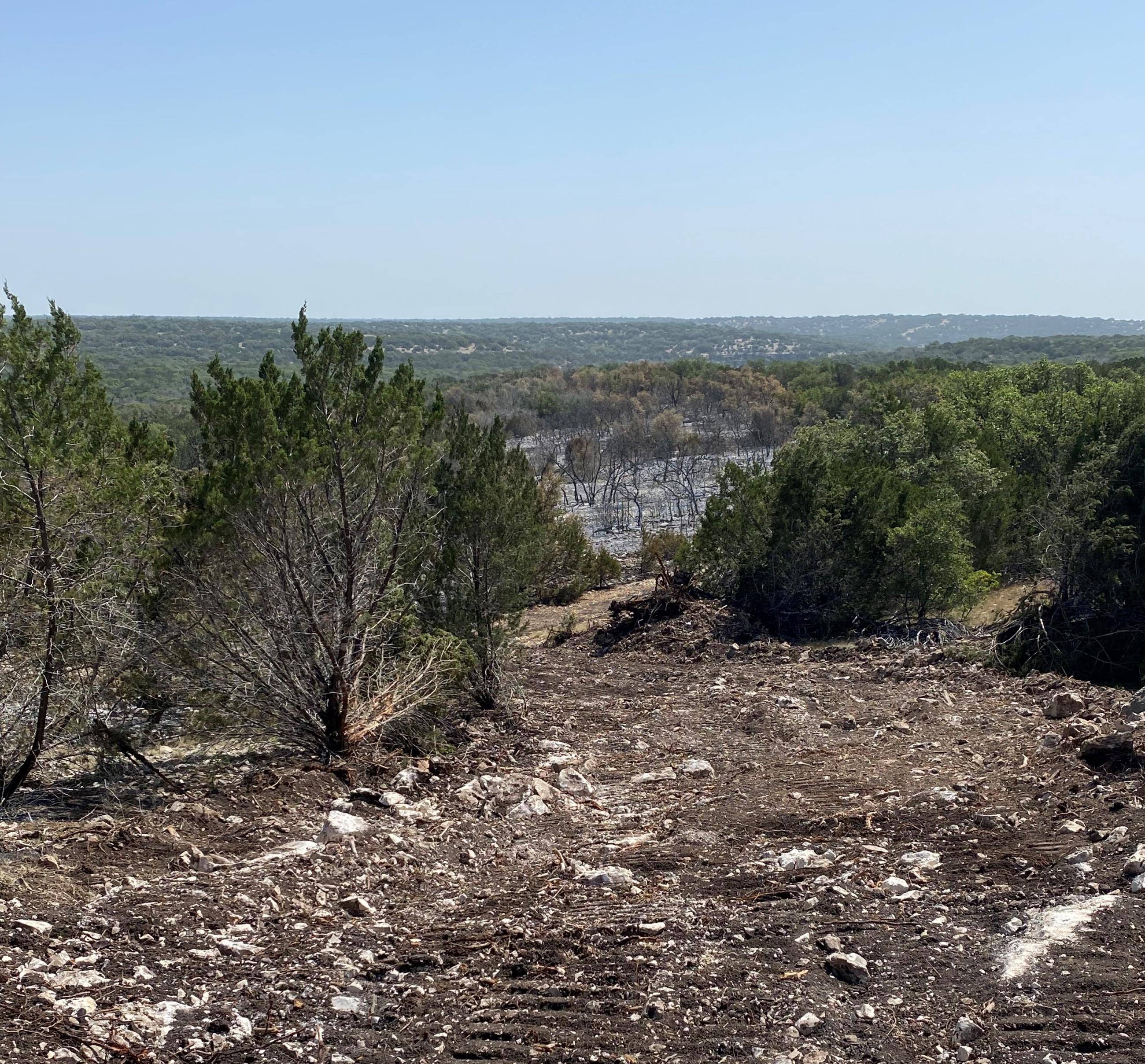 View from dozer line to interior burned area