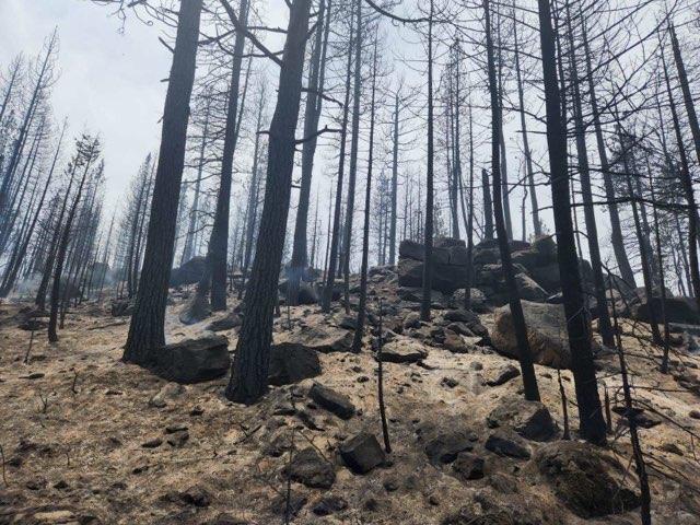 Image of fire damage from the Golden Fire taken on July 22, 2023.