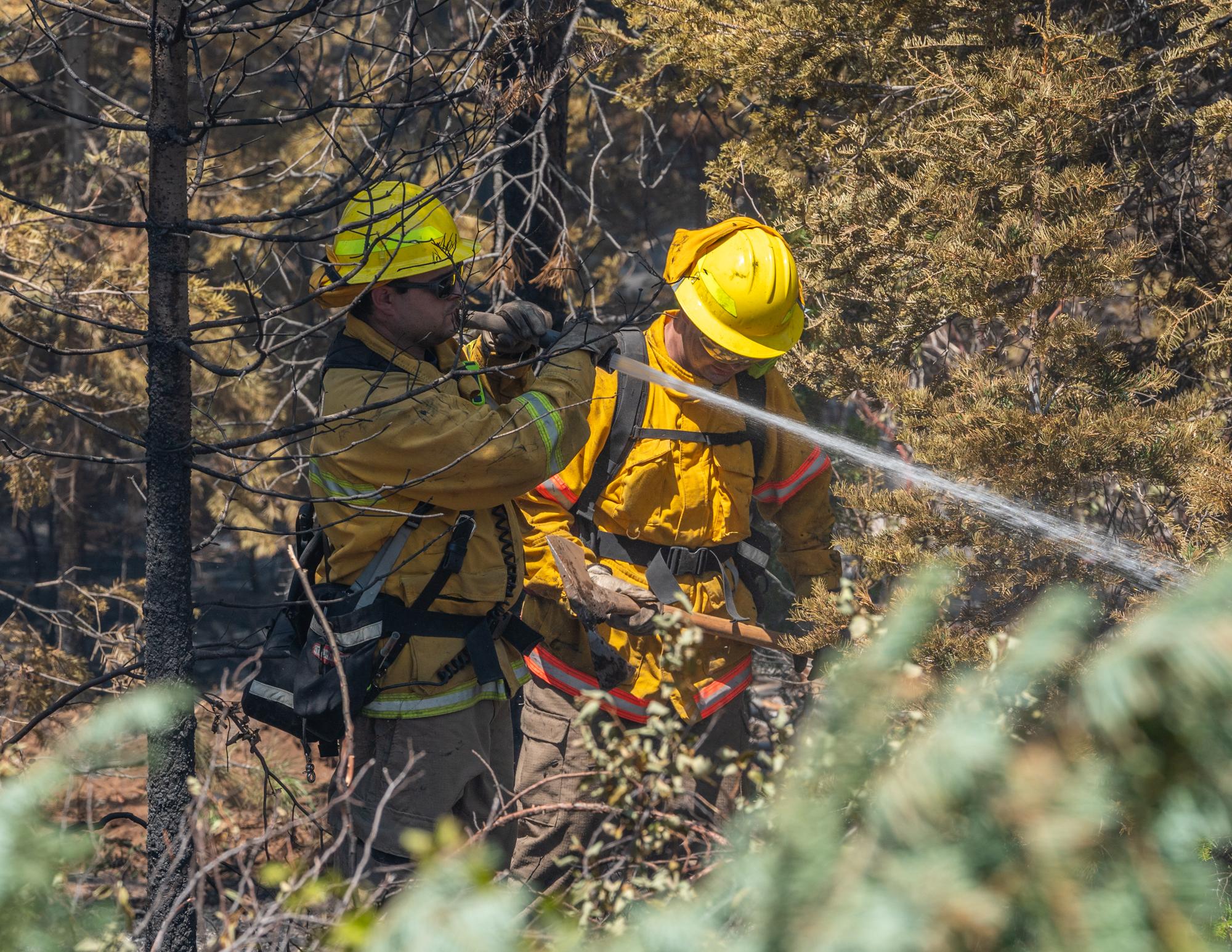 Dundee firefighters conducting mop-up on the Golden Fire in Bonanza, Oregon, on July 24, 2023.