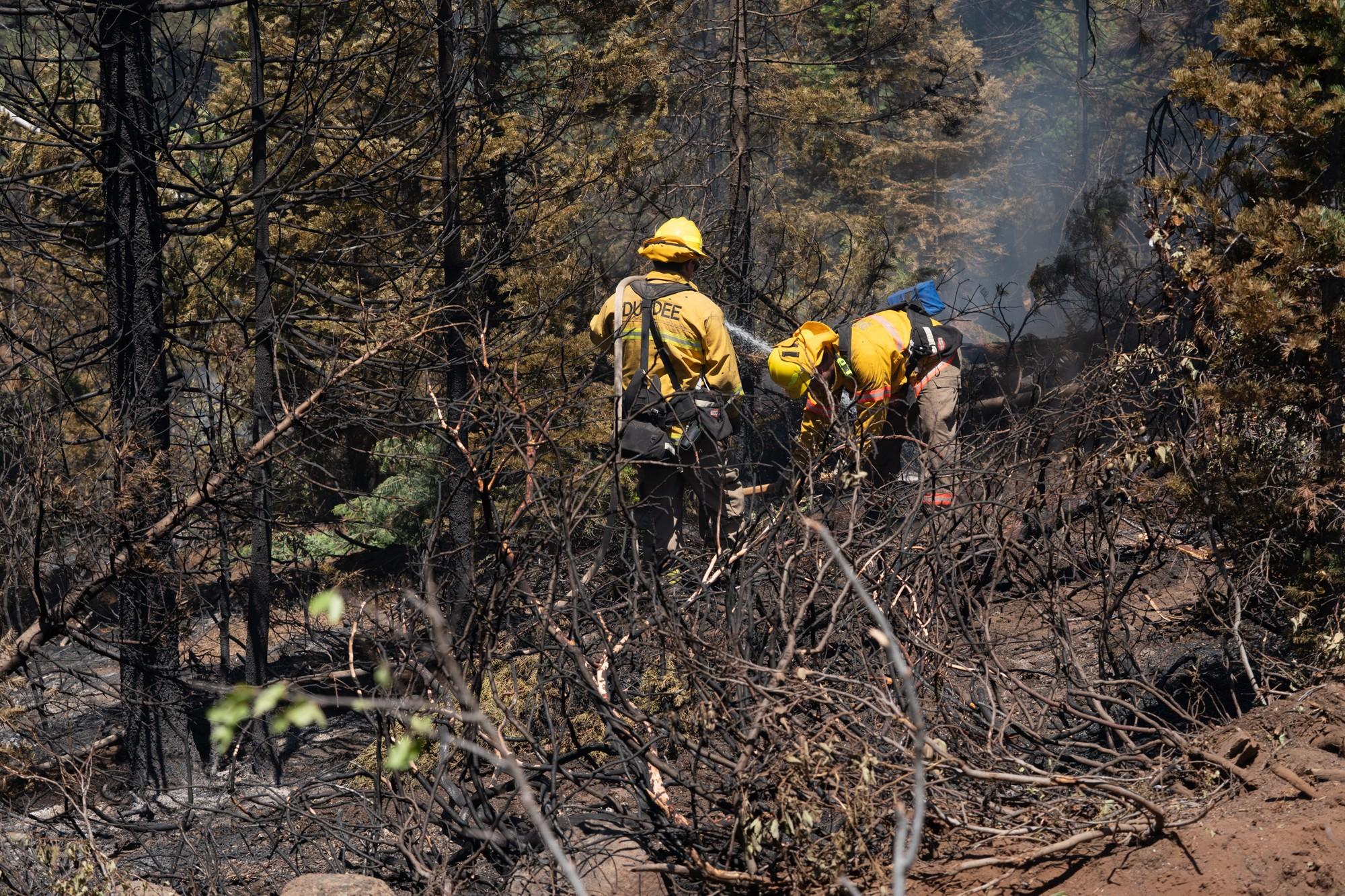 Dundee firefighters conducting mop-up on the Golden Fire in Bonanza, Oregon, on July 24, 2023.