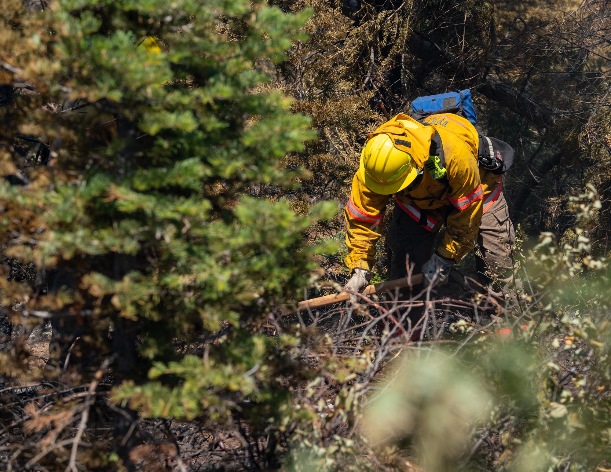 A Dundee firefighter conducting mop-up on the Golden Fire in Bonanza, Oregon, on July 24, 2023.