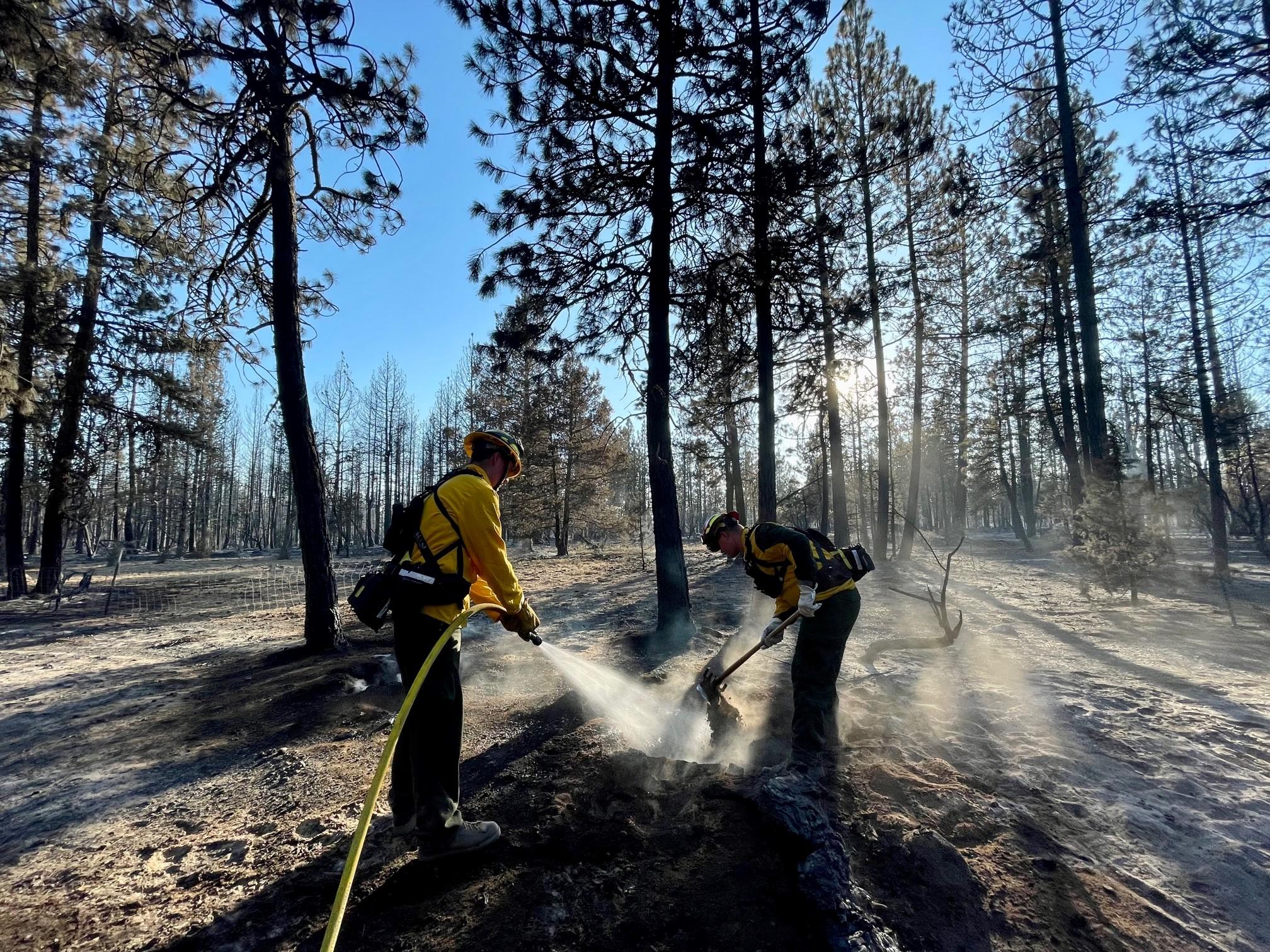 Wildland firefighters conducting mop-up on the Golden Fire in Bonanza, Oregon, on July 24, 2023.