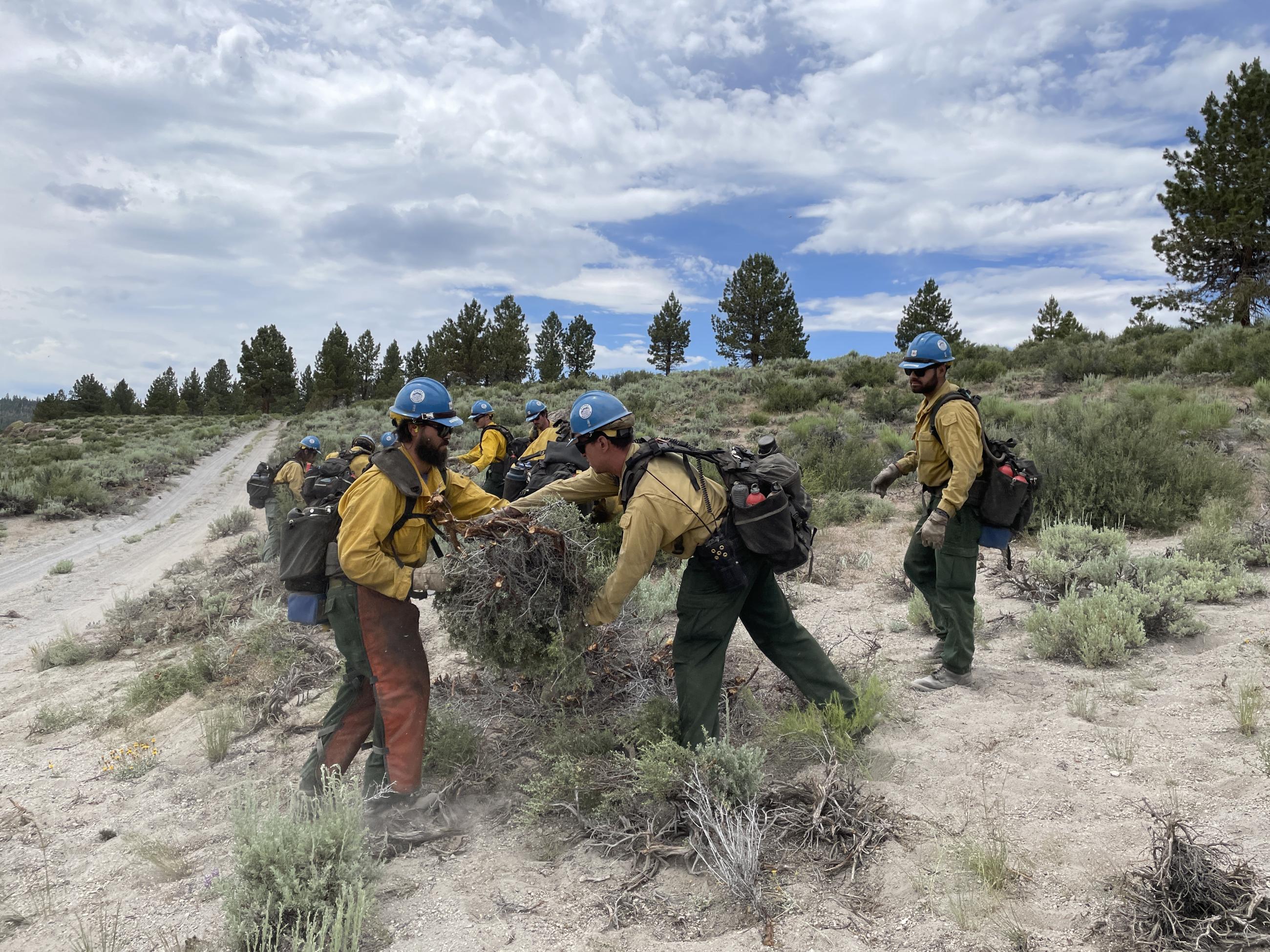 firefighters, dirt road, brush, sky