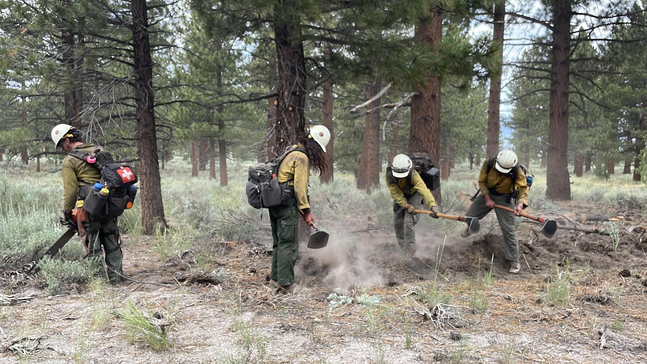 firefighters, dirt, trees