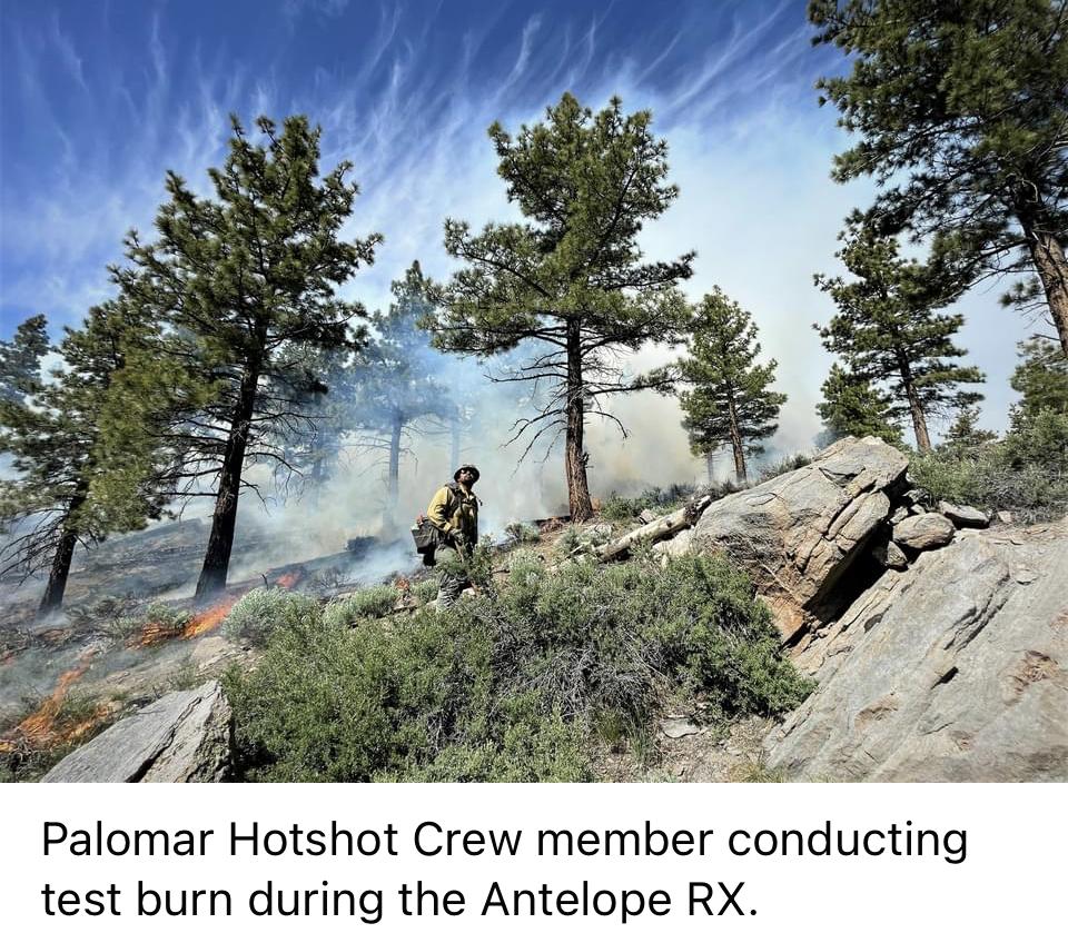 Image showing trees, smoke, dirt road