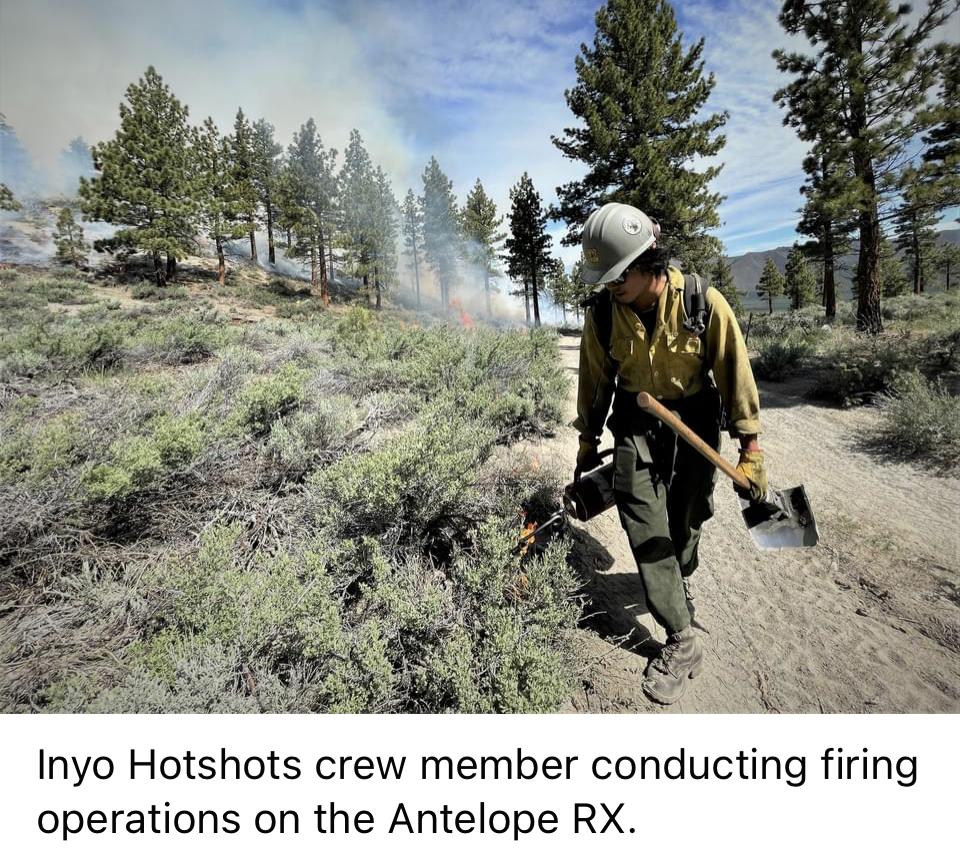 Image showing firefighter with drip torch lighting off fire onto vegetation with trees in background