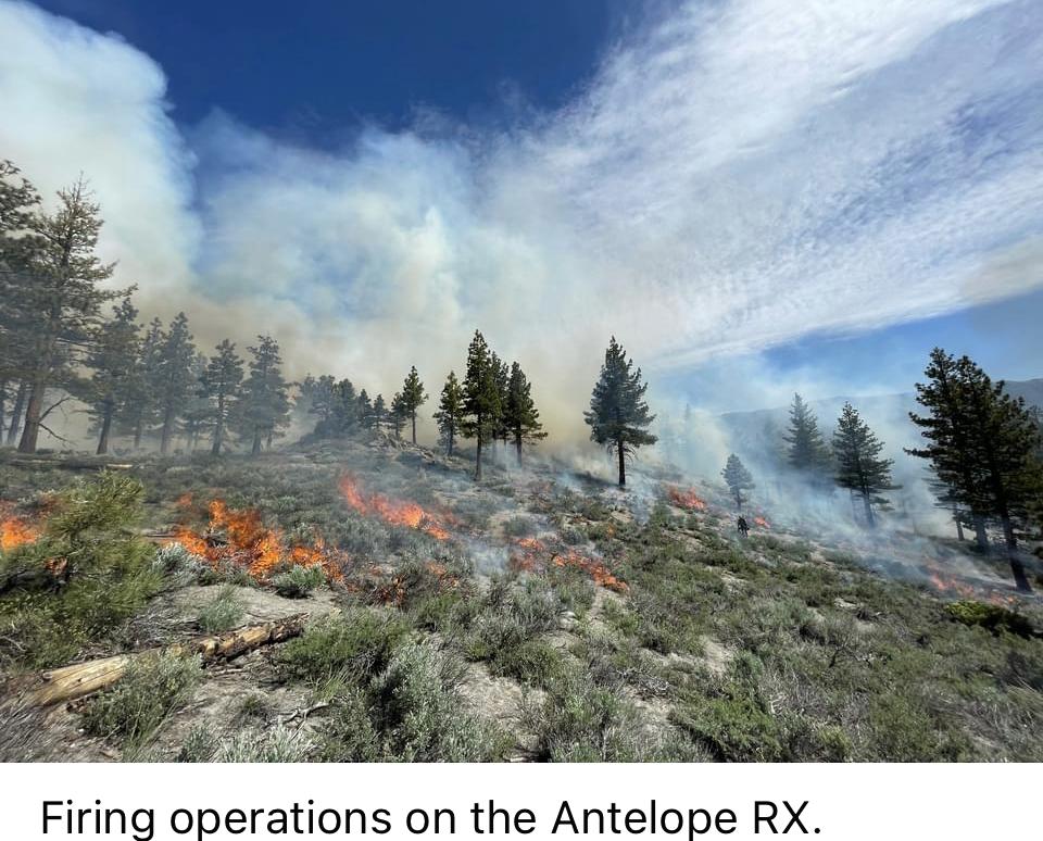 Image showing Firing operations on the Antelope RX