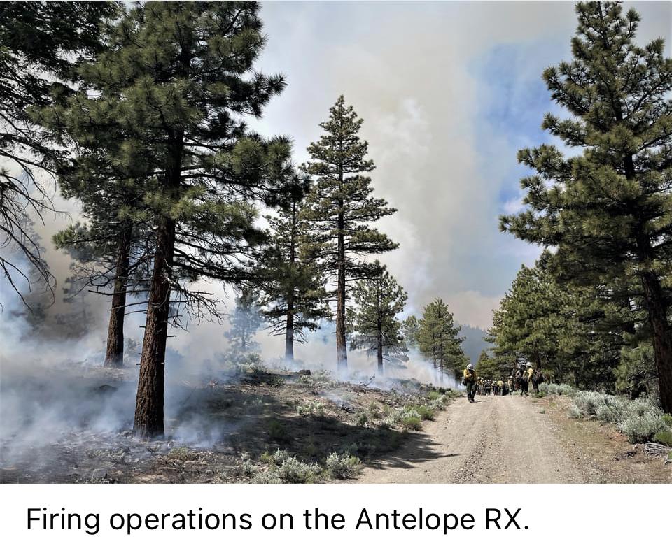 Image showing Firing operations on the Antelope RX