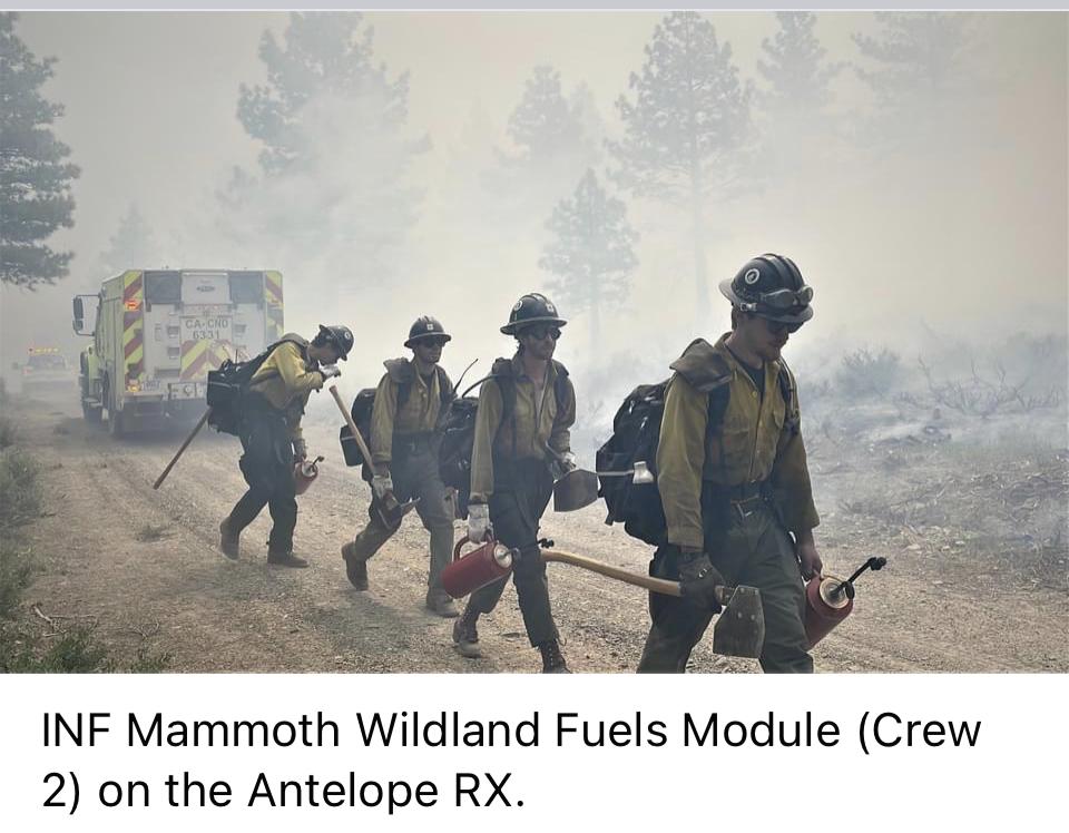 Image showing Inyo NF Mammoth Wildland Fuels Module (crew 2) on the Antelope RX