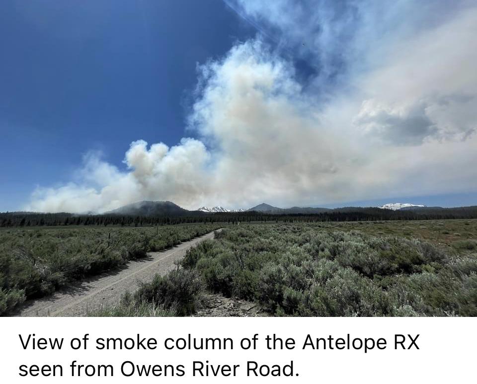 Image showing a View of smoke column of the Antelope RX seen from Owens River Road