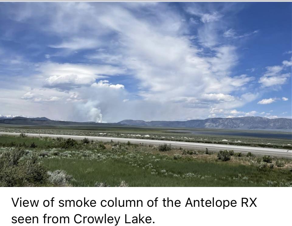 Image showing View of smoke column of the Antelope RX seen from Crowley Lake