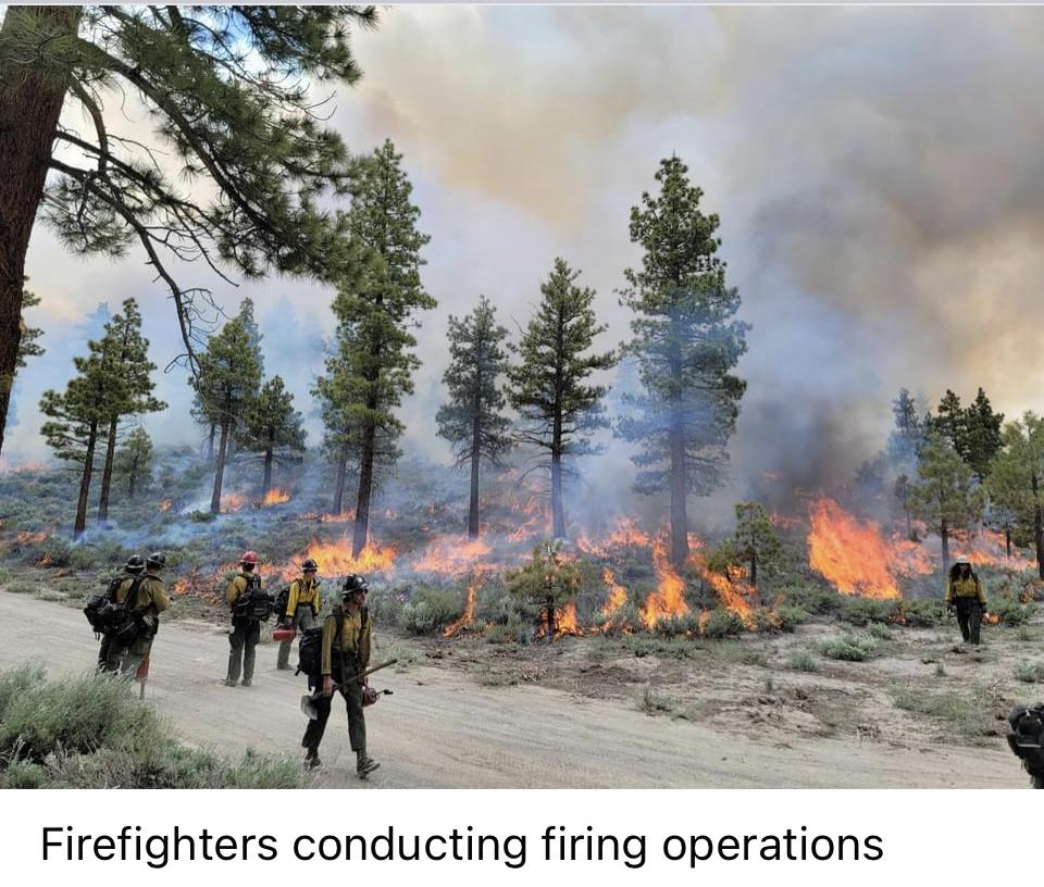 Image showing Firefighters conducting firing operations