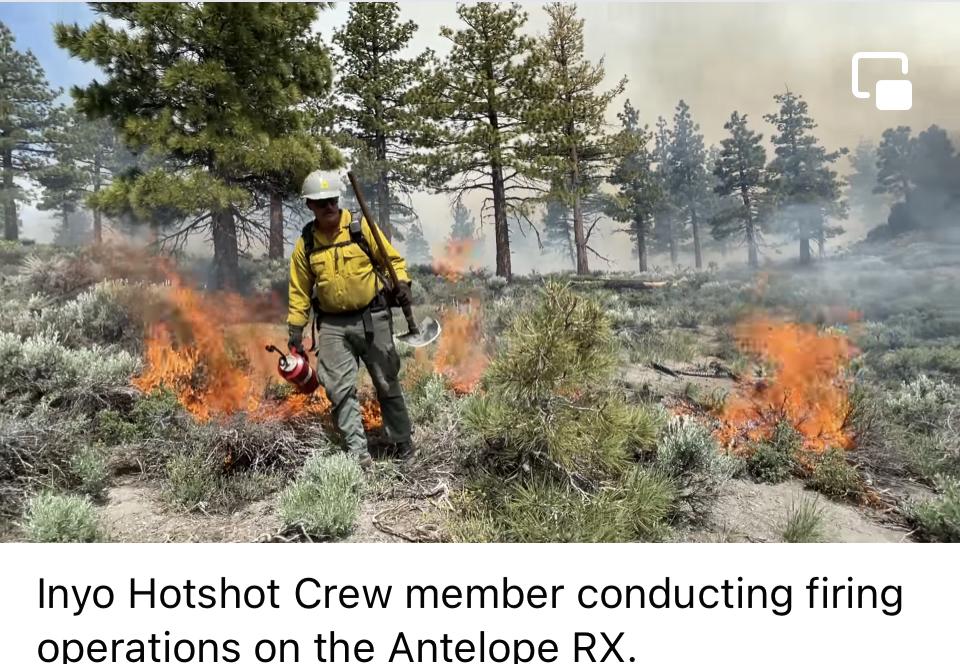 Image showing Inyo Hotshot crew member conducting firing operations on the Antelope RX