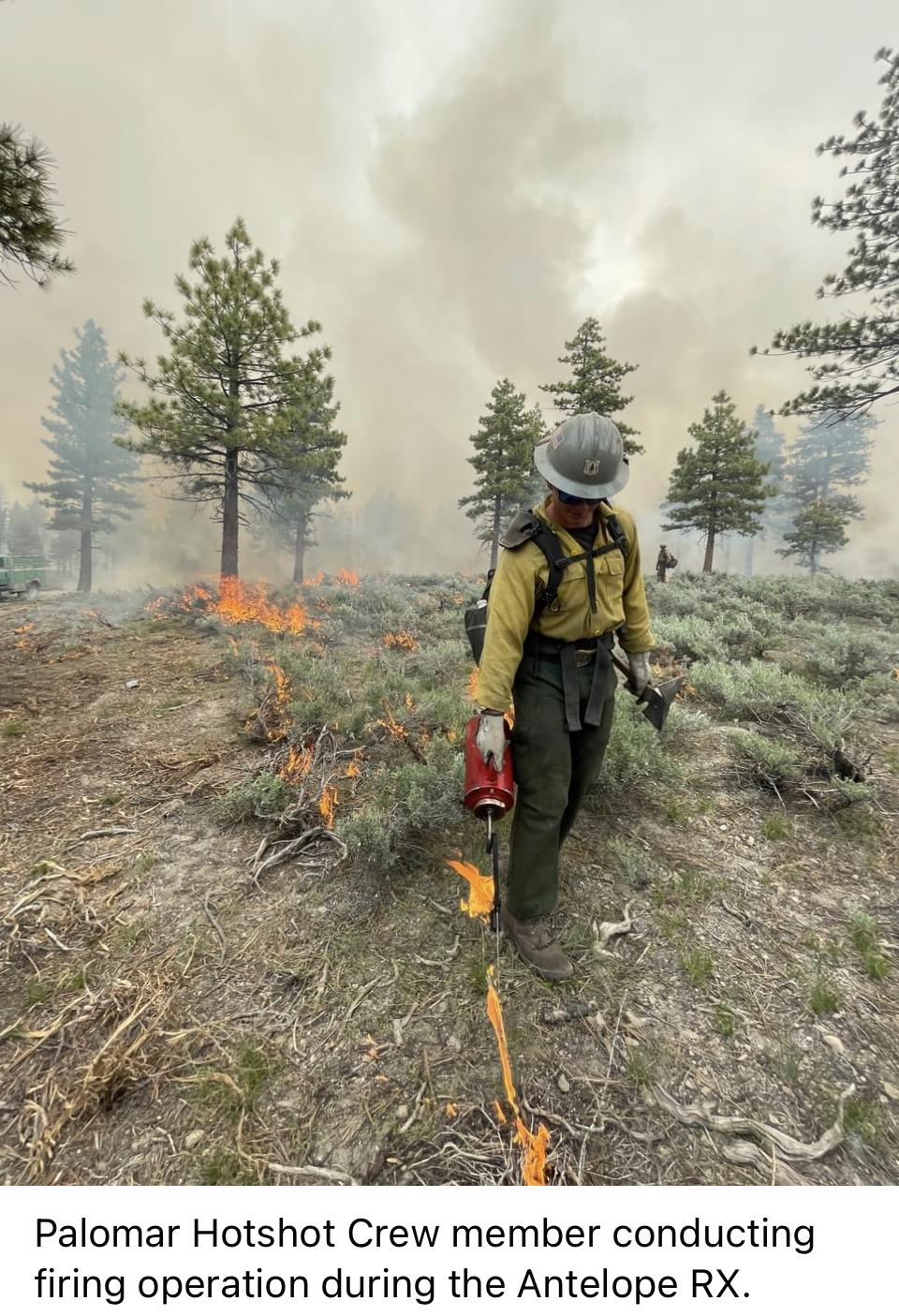 Image showing Palomar Hotshot crew member conducting firing operations during the Antelope RX