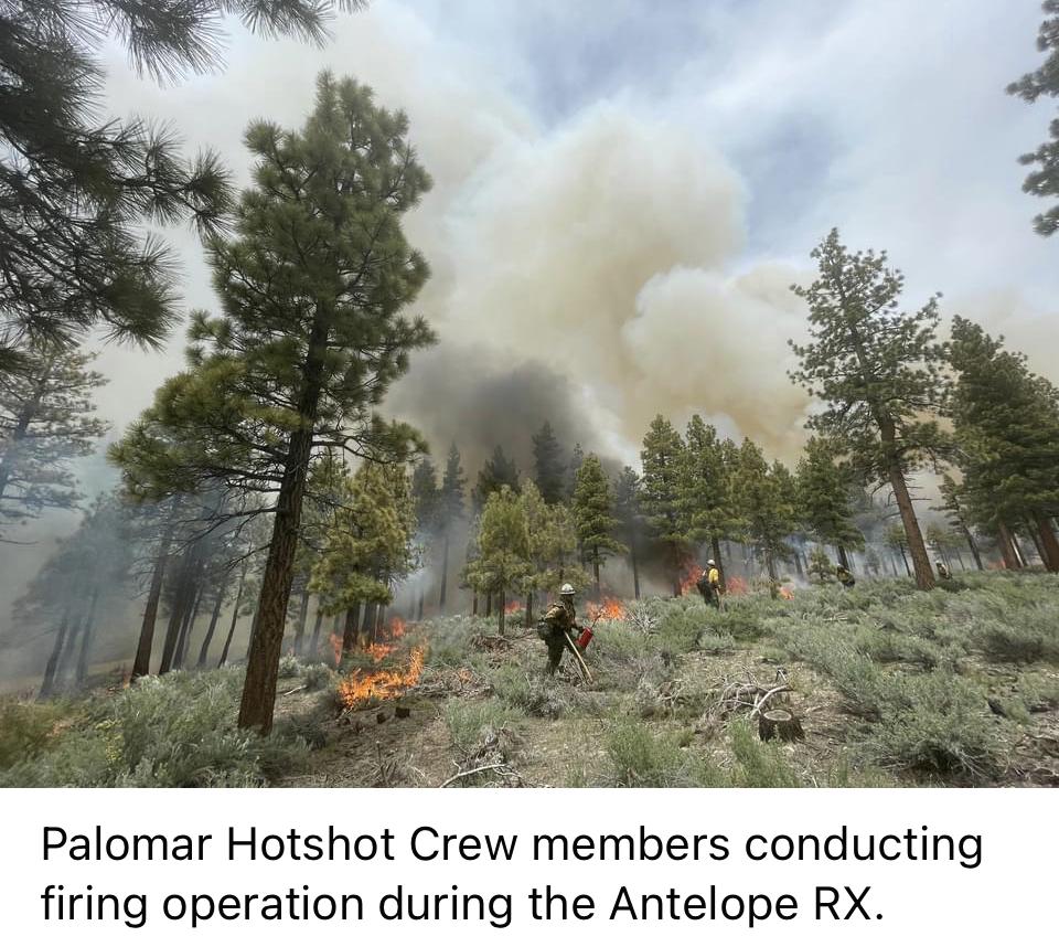 Image showing Palomar Hotshot crew members conducting firing operations during the Antelope RX,