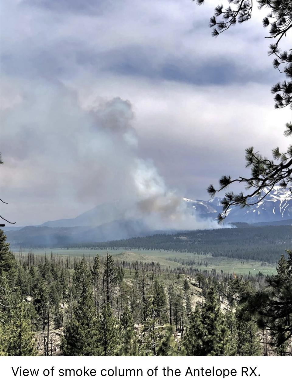 Image showing a View of smoke column of the Antelope RX