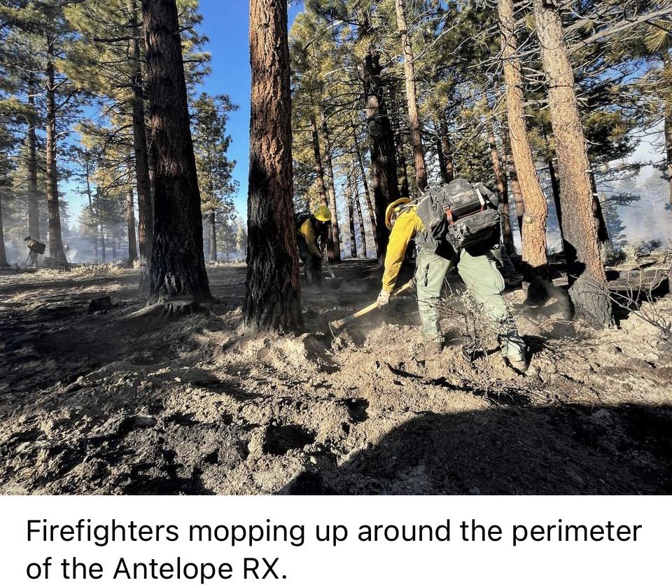 Image showing Firefighters mopping up around the perimeter of the Antelope RX