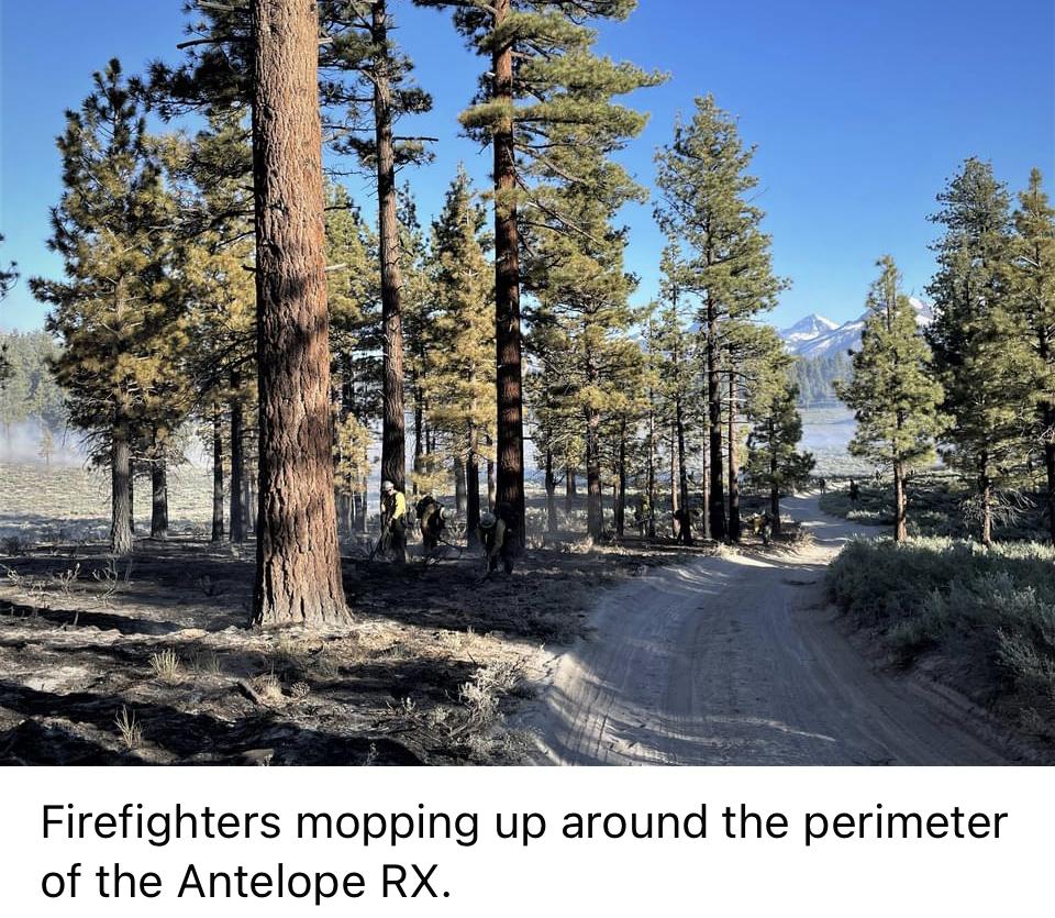 Image showing Firefighters mopping up around the perimeter of the Antelope RX