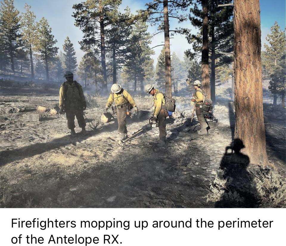 Image showing Firefighters mopping up around the perimeter of the Antelope RX