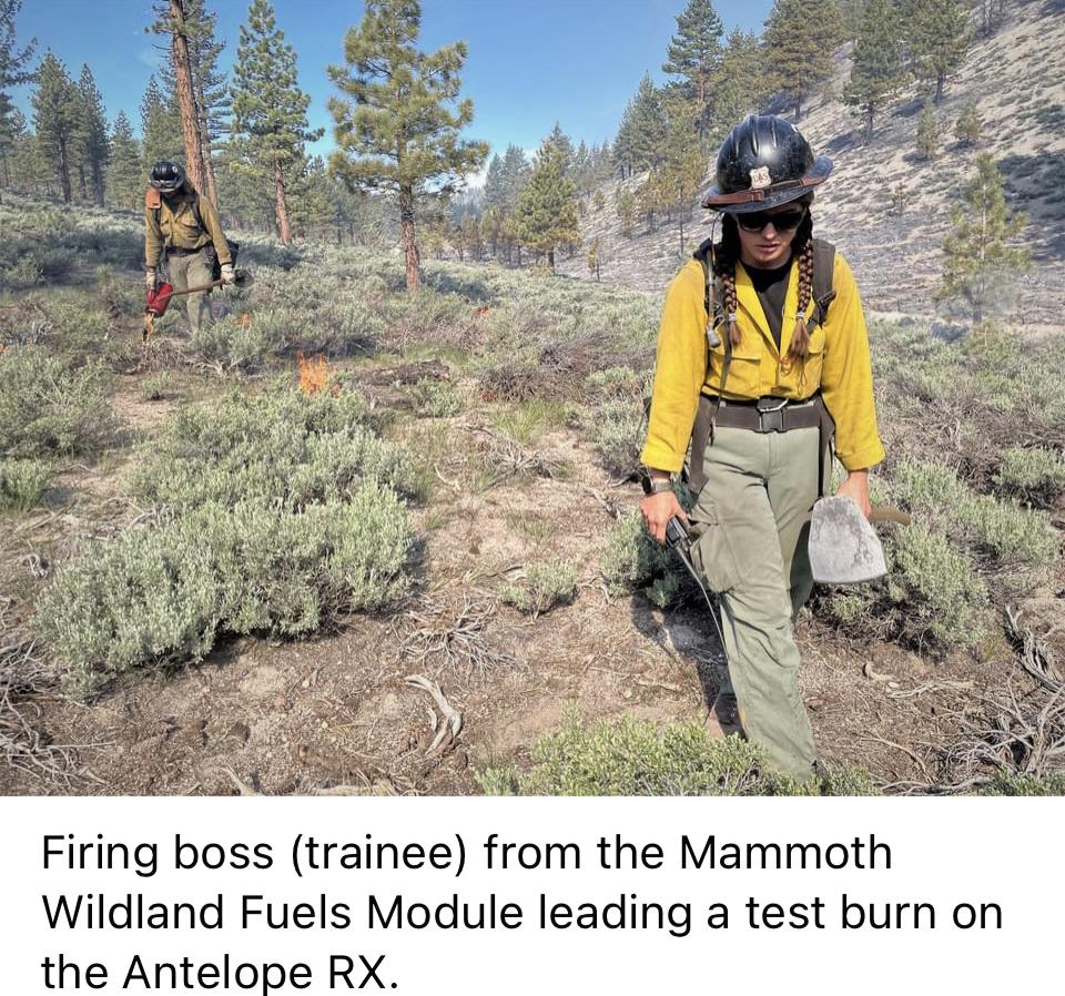 Image showing the Firing boss (trainee) from the Inyo NF Mammoth Wildland Fuels Module conducting a test burn on the Antelope RX