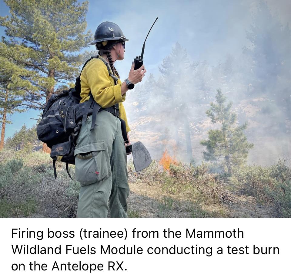 Image showing the Firing boss (trainee) from the Inyo NF Mammoth Wildland Fuels Module conducting a test burn on the Antelope RX