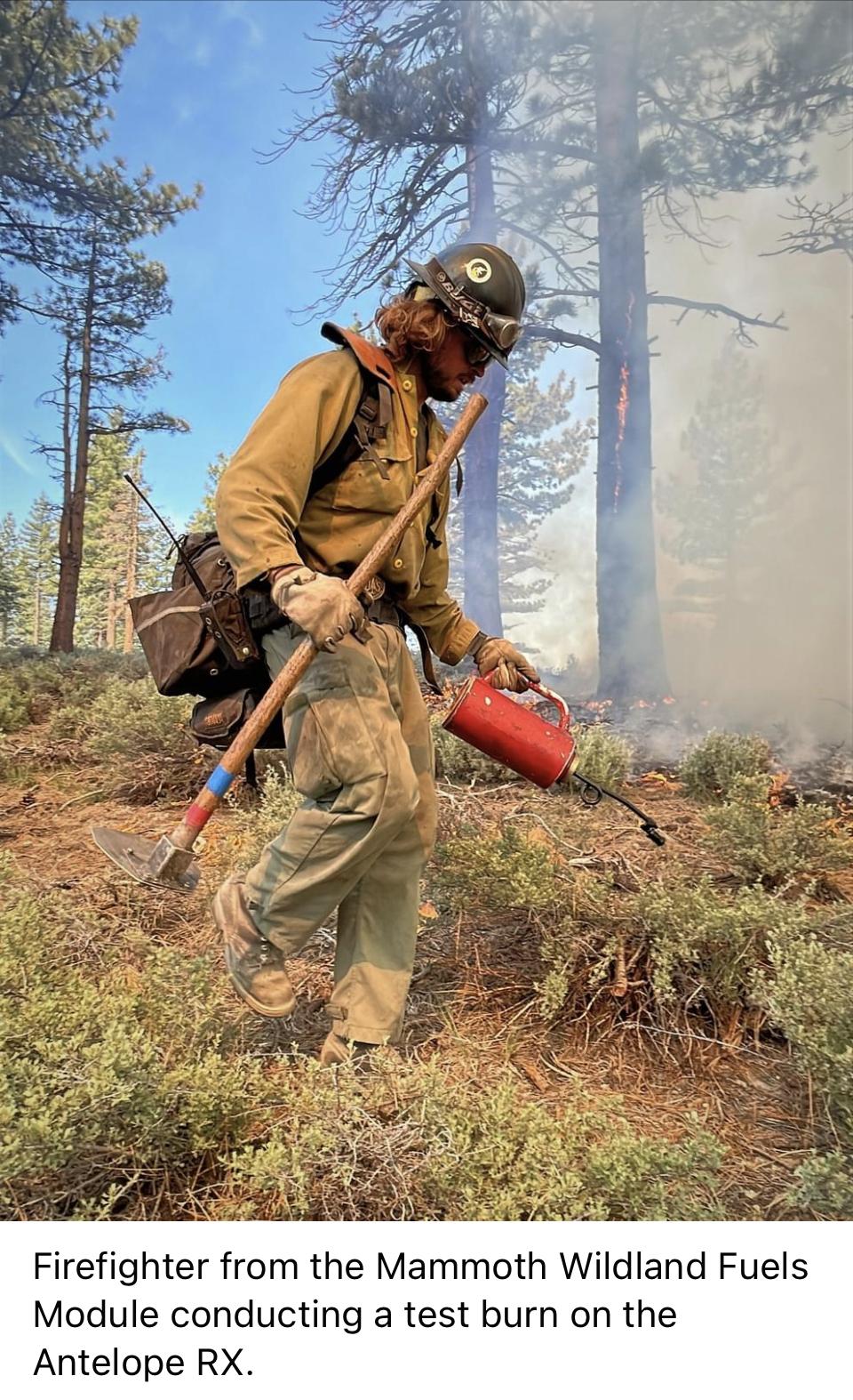 Image showing an Inyo NF Mammoth Wildland Fuels Module firefighter conducting a test burn on the Antelope RX