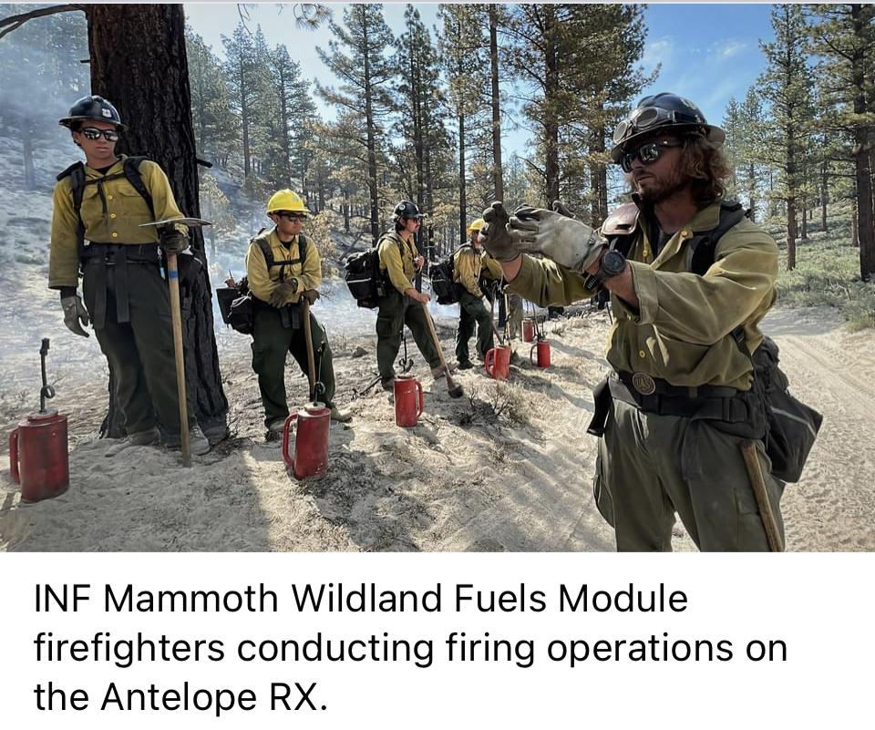 Image showing Inyo NF Mammoth Wildland Fuels Module firefighters conducting a test burn on the Antelope RX