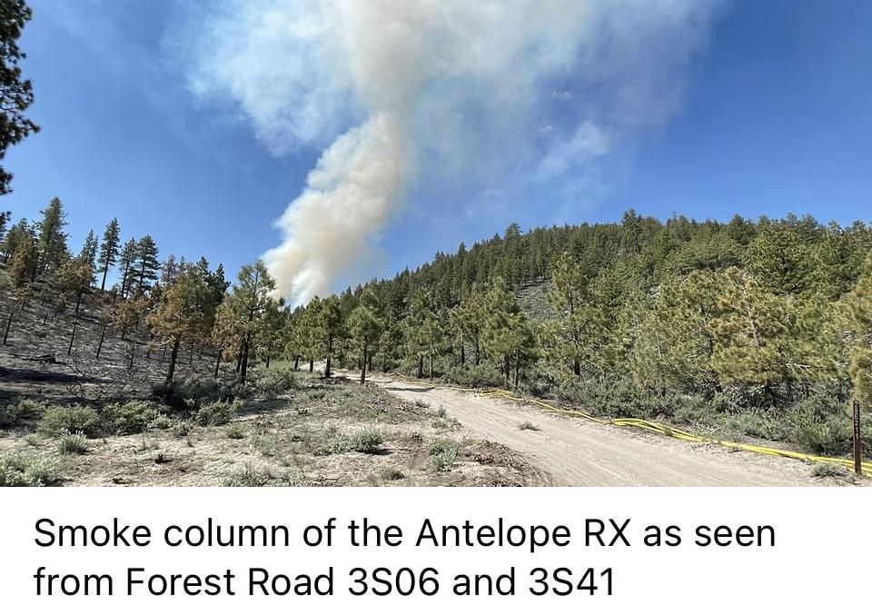 Image showing a Smoke column from the Antelope RX as seen from Forest Roads 3S06 & 3S41