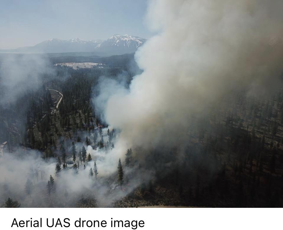 Image showing smoke among tall pine trees in an Aerial Image of the Antelope RX taken from the Forest Service Unmanned Aircraft Systems (UAS) drone