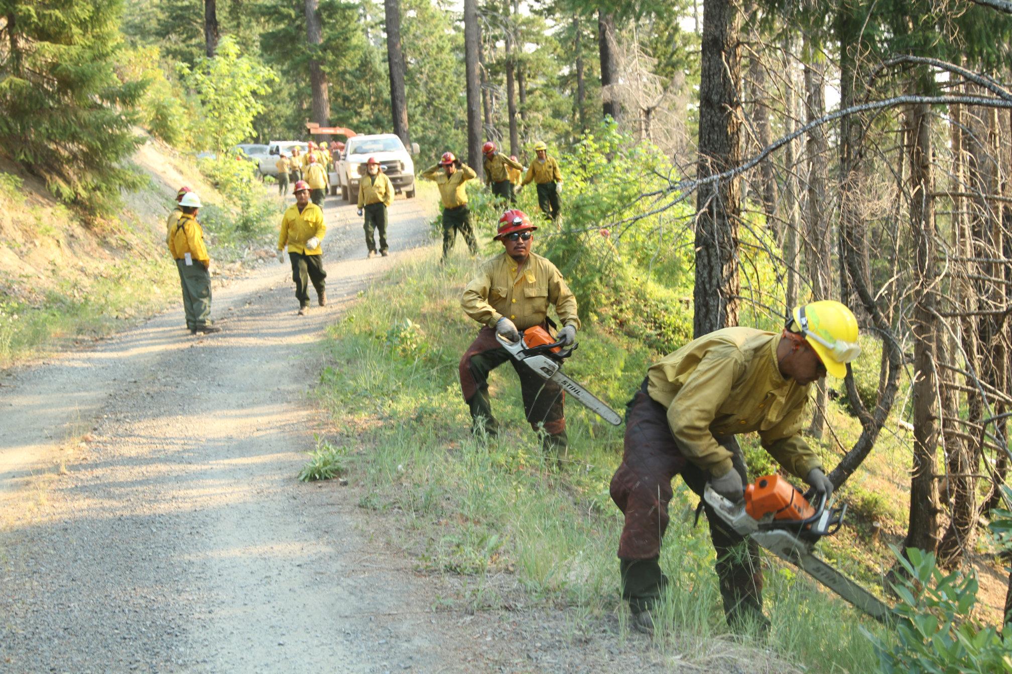 Firefighters remove brush along a forest road in the northeast portion of the fire.