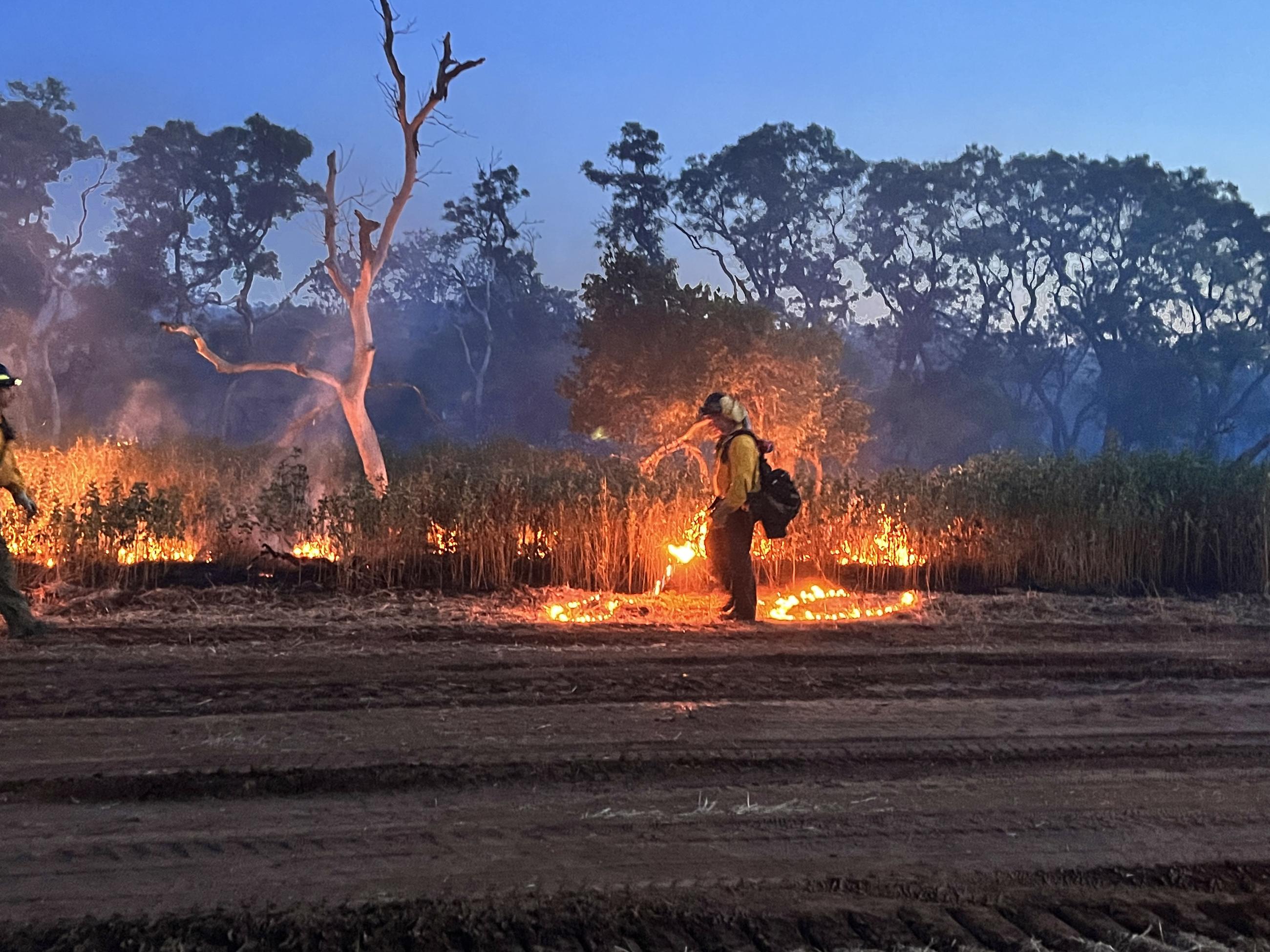 Firefighters burn out areas of unburnt fuel to reinforce the containment line