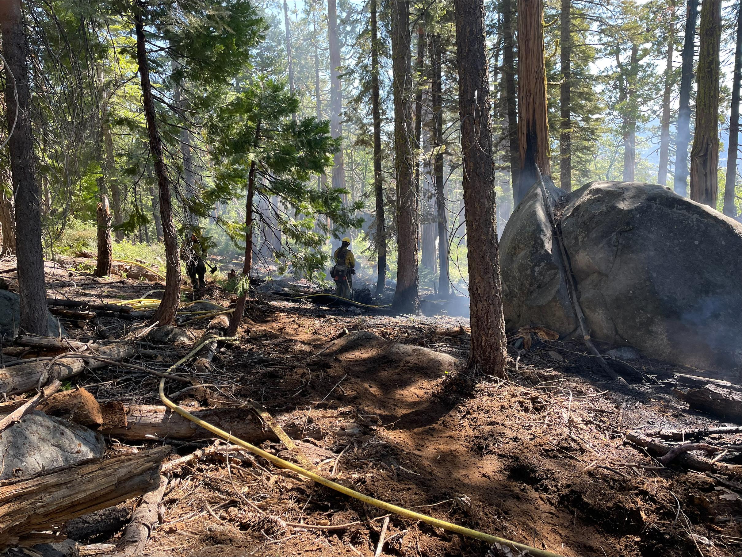 Firefighters working in a sparsely forested area.