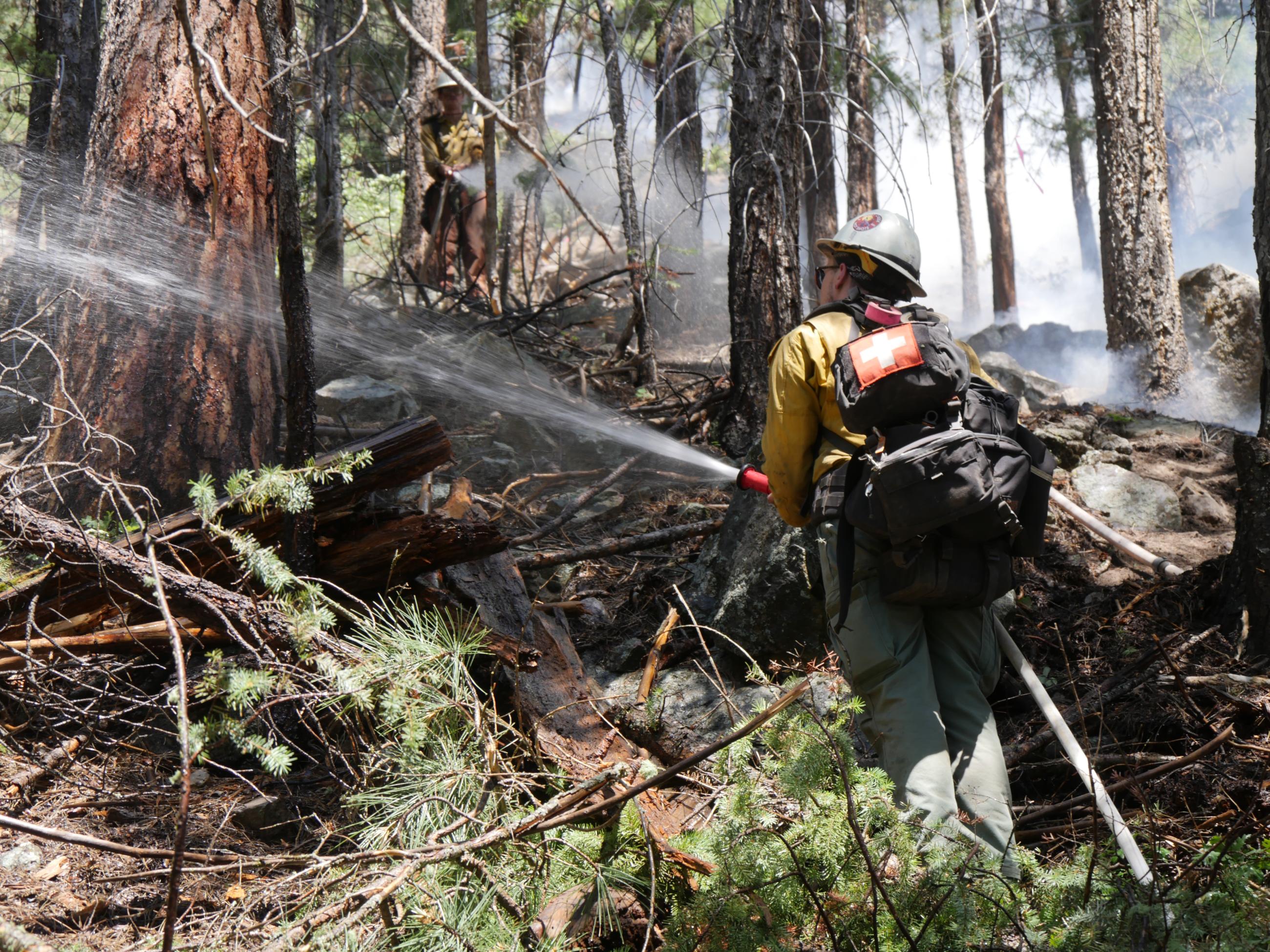 Firefighter with yellow shirt is spraying water at tree 