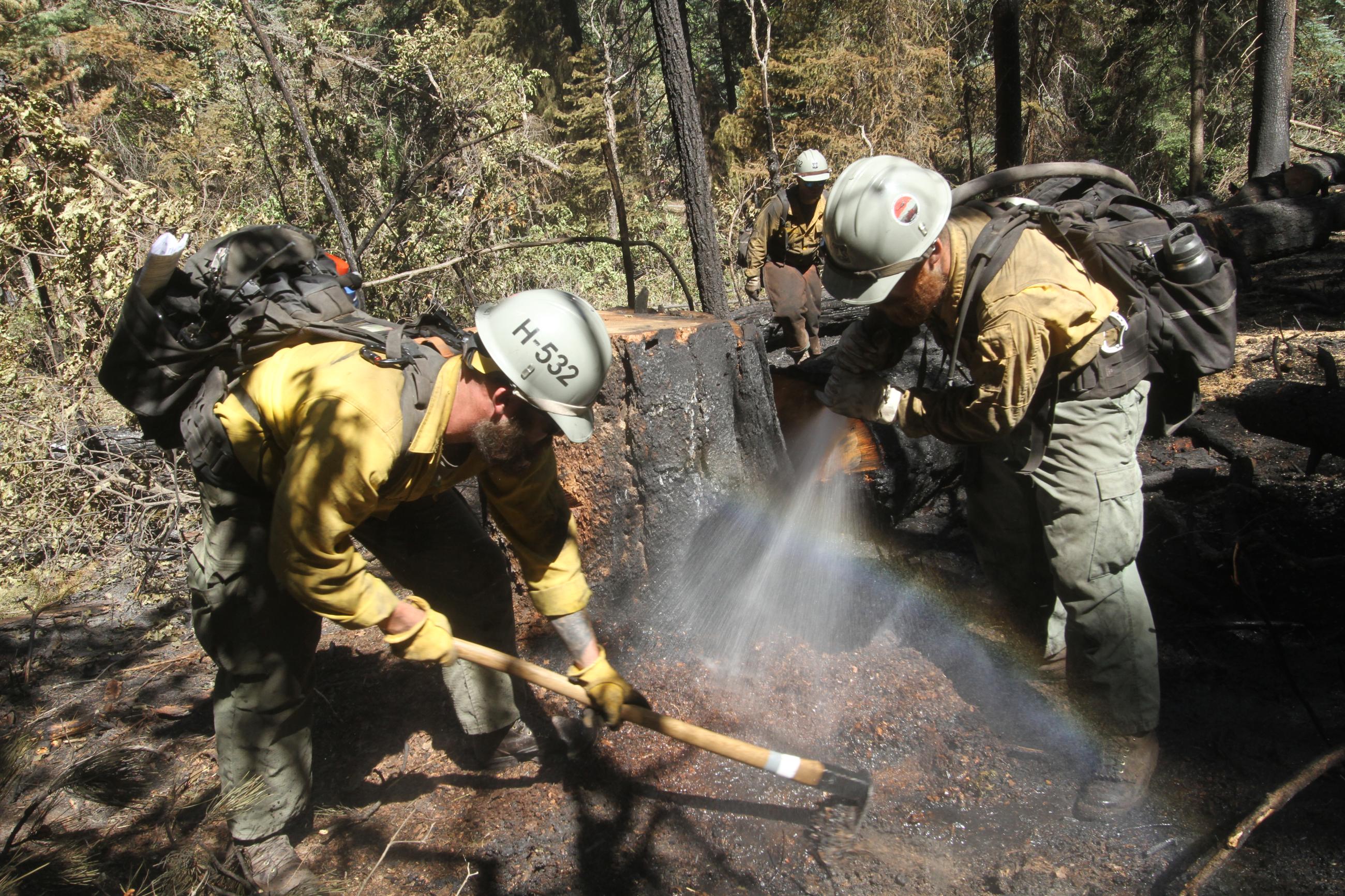 Two firefighters with yellow shirts digging and spraying water at hot stump hole. Steam rising from ground.
