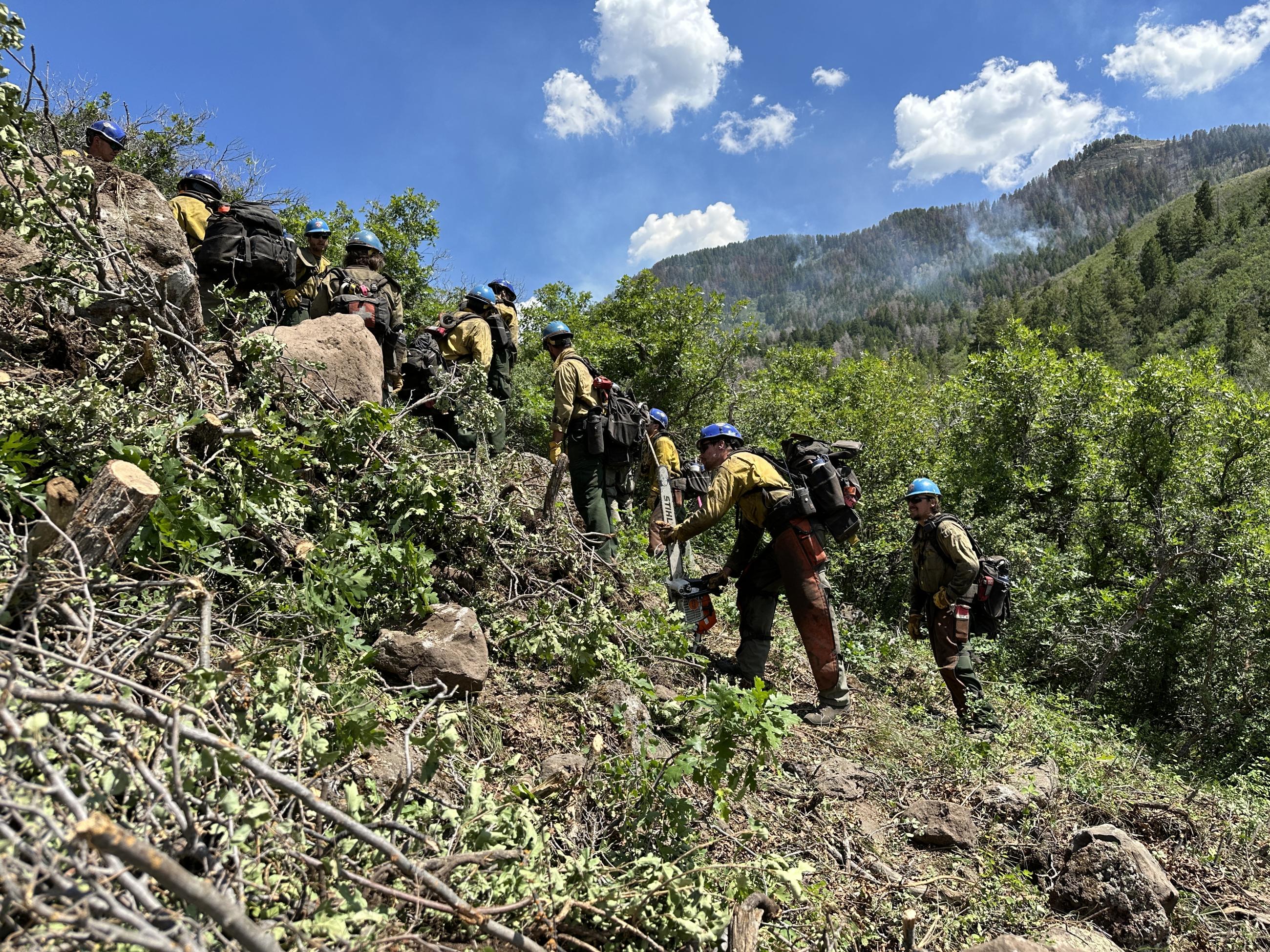 members of a firefighting had crew working on a steep slope