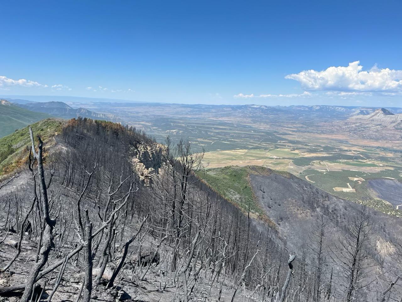 Burned area near steep ridge on south side of the Spring Creek Fire, July 2