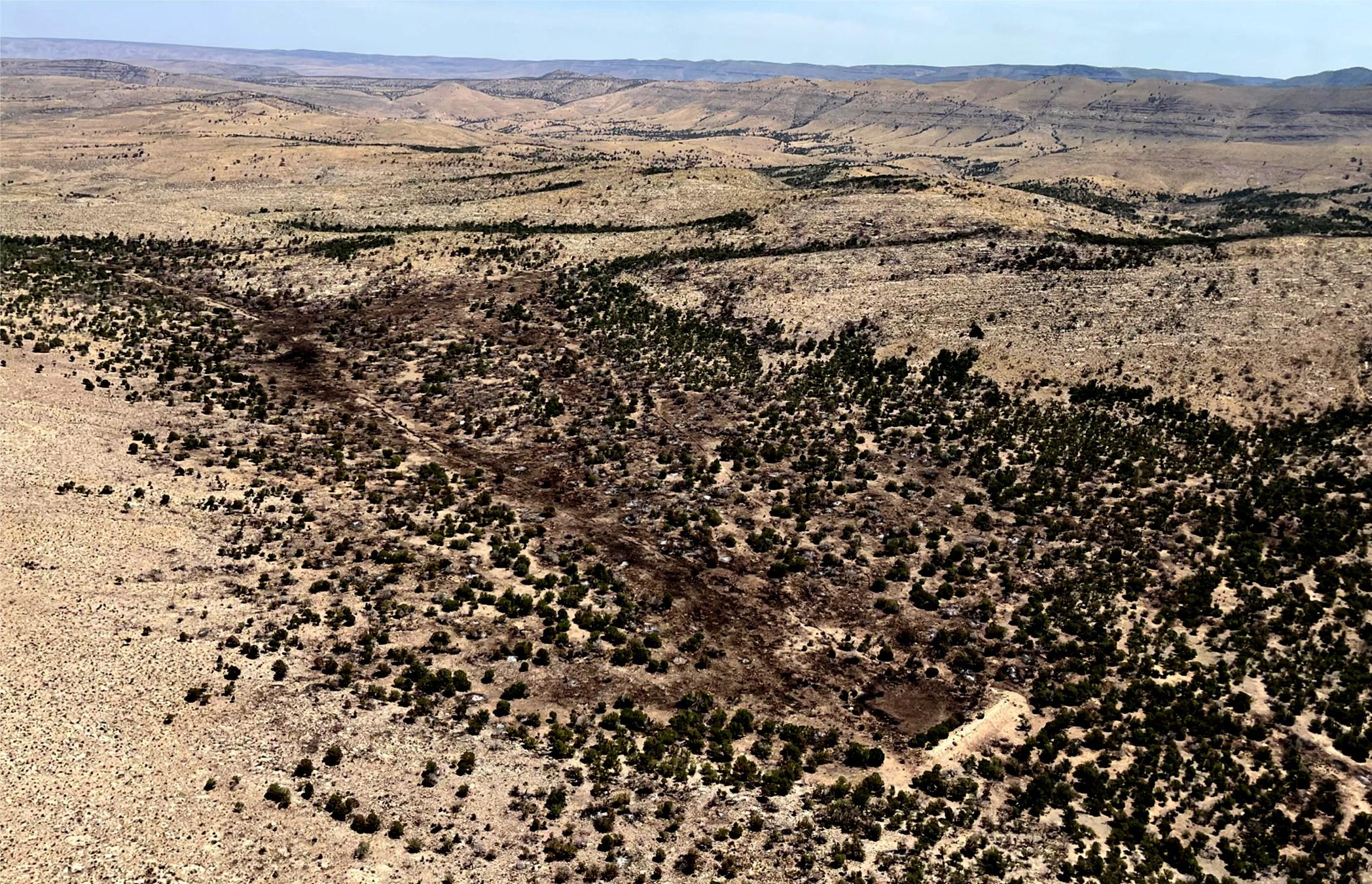 Aerial view of Cutoff Ridge Fire shows up-to-date burn area. Green vegetation surrounds an area darkened by a slow moving, low intensity wildfire.