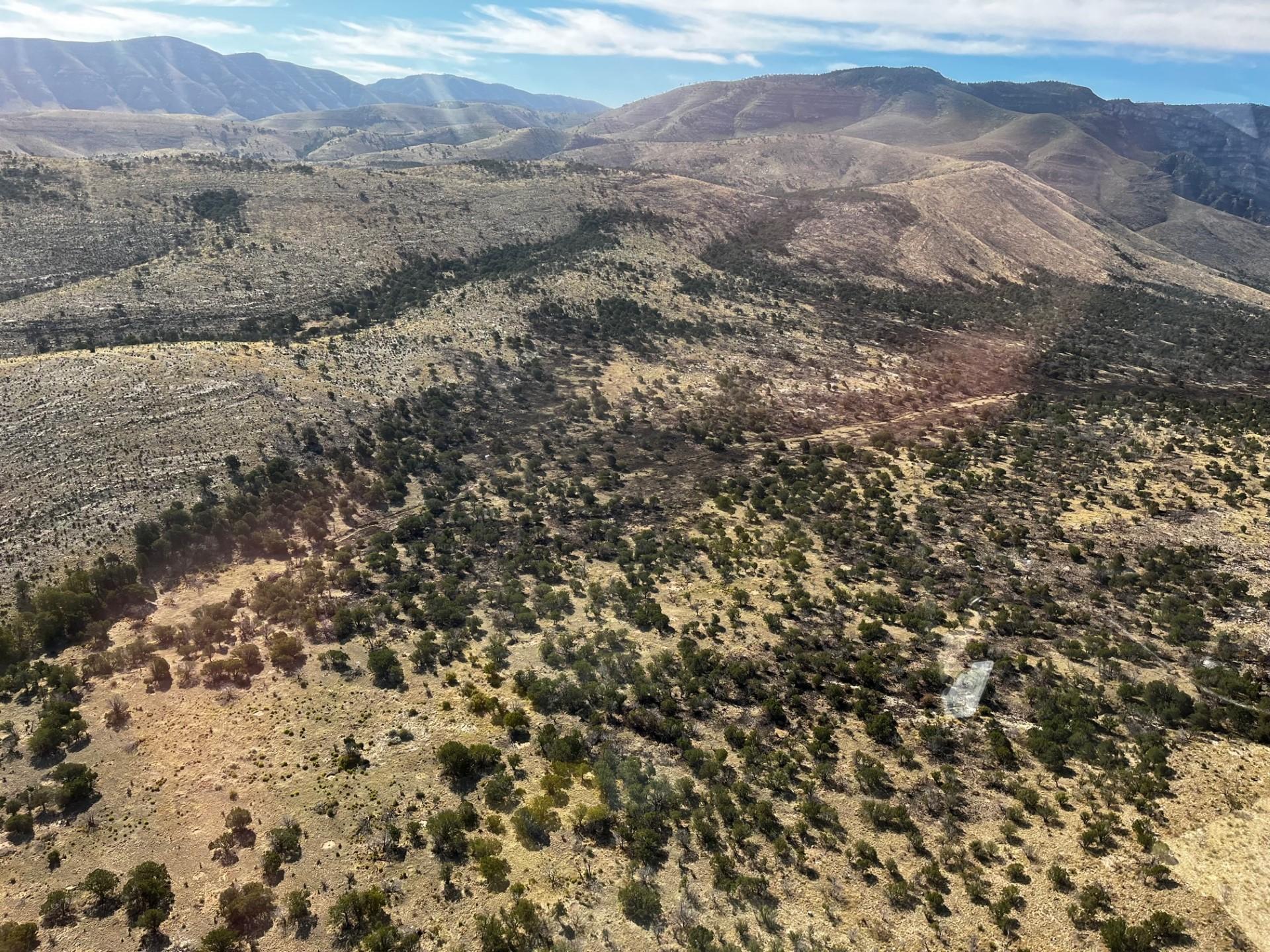 Aerial photo showing some light brown patches among other green vegetation