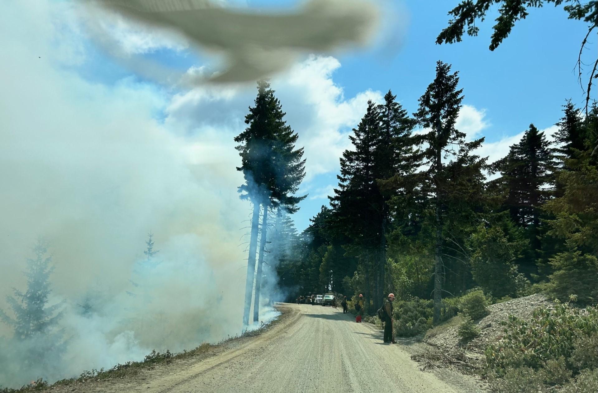 Firefighters holding Flat Fire on Forest Road 3680 July 25, 2023