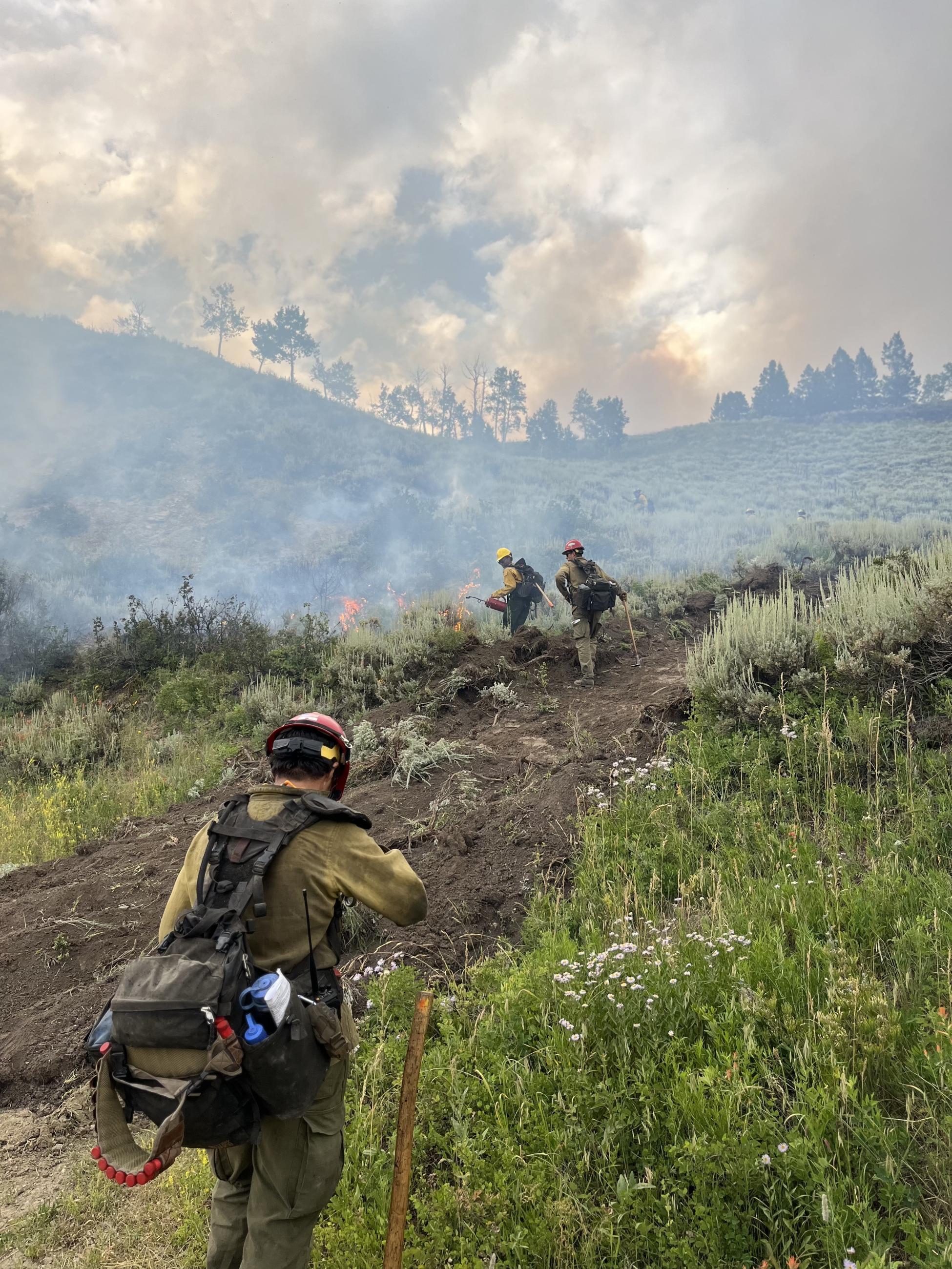 Firefighter igniting grasses using a red drip torch. Two other firefighters are nearby monitoring the flames.