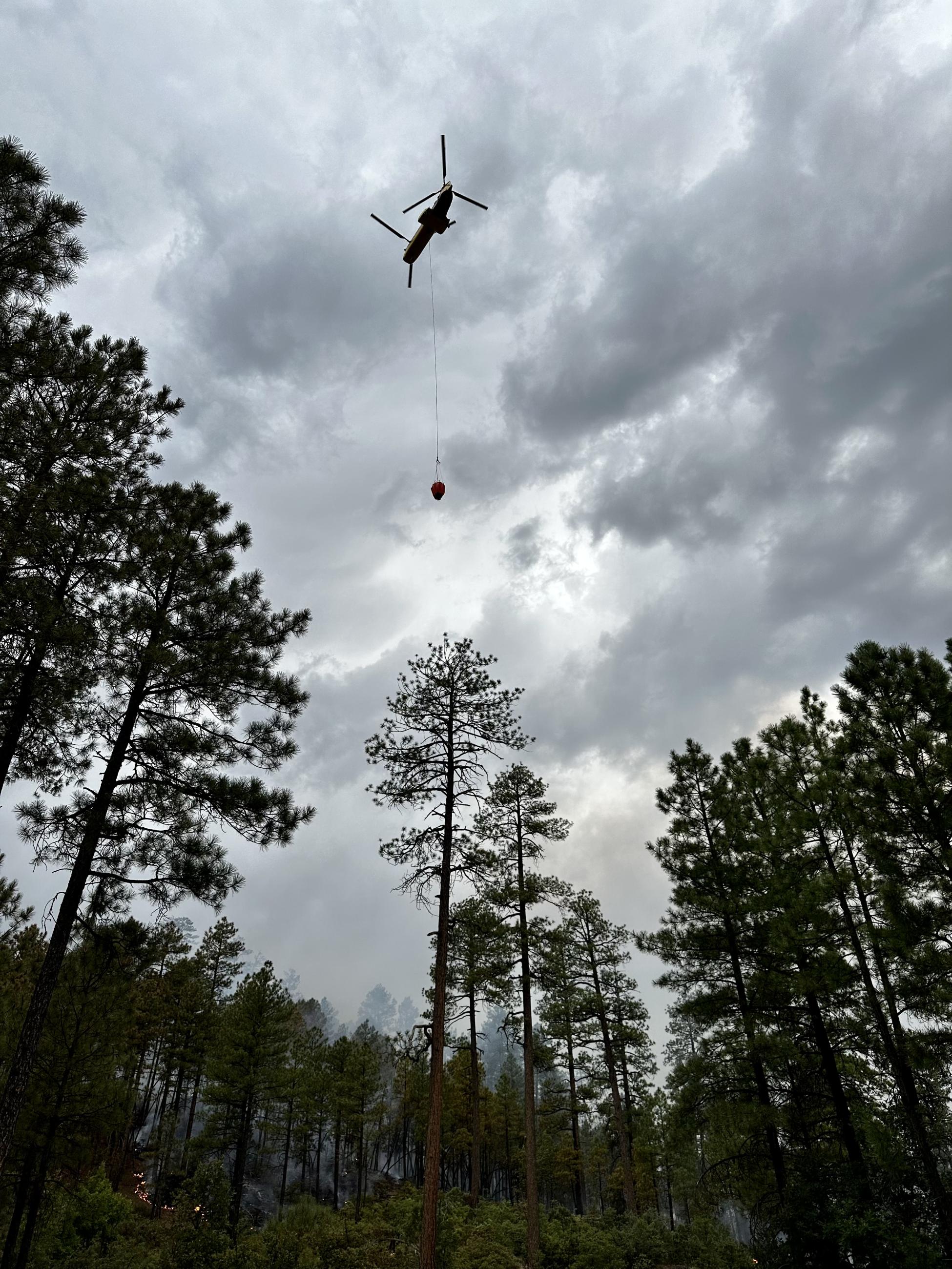 Aircraft flying with water bucket hanging below with trees in foreground