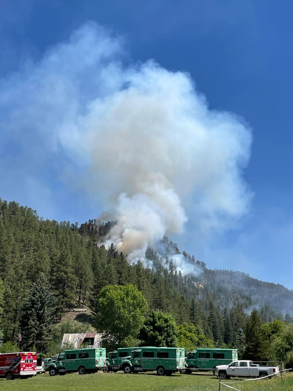 Smoke column rises from the trees against a blue sky.  Foreground has multiple green fire vehicles, a red ambulance, and white truck.