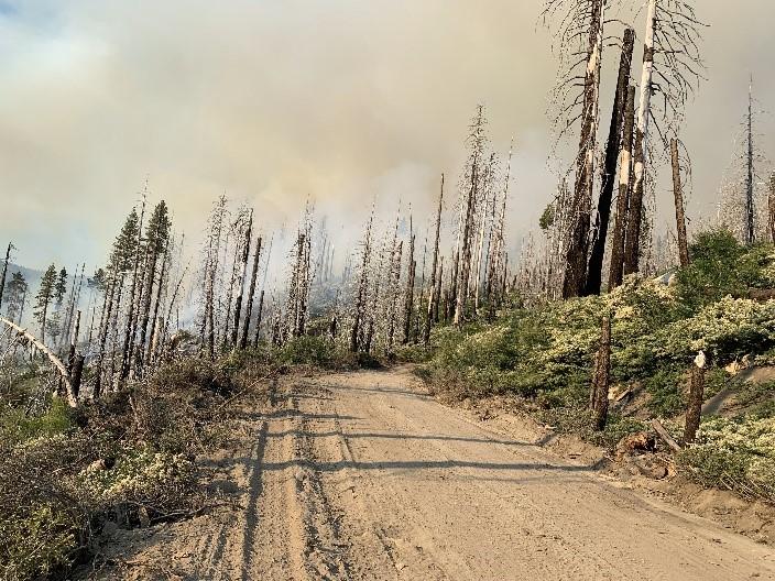 Burning in the snag patch with white thorn on Forest Service Road 2N05A.