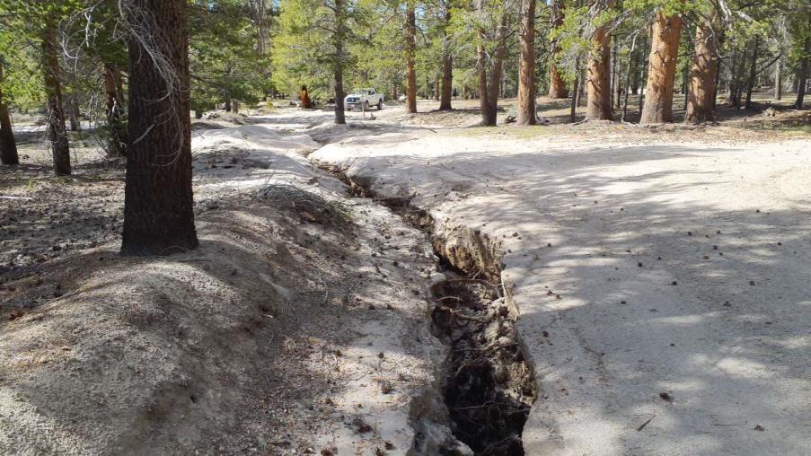 Image showing a 3-4 feet deep gully on Pilot Springs (FS 1S04) Road on the Mono Lake Ranger District, Inyo National Forest