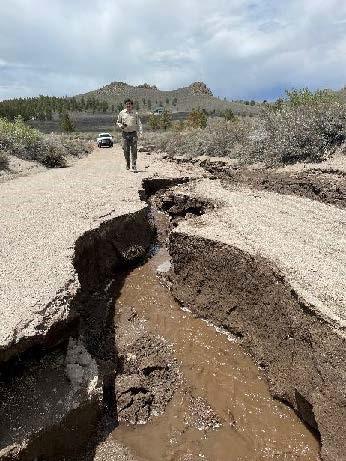 Washout on Sagehen Meadow (FS 1N02) Road on the Mono Lake Ranger District, Inyo National Forest