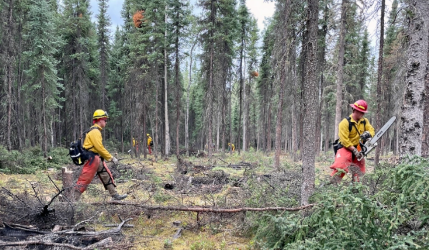 Firefighters from the Joint Base Elmendorf-Richardson Task Force work on a shaded fuel break near the city park in Anderson, Alaska