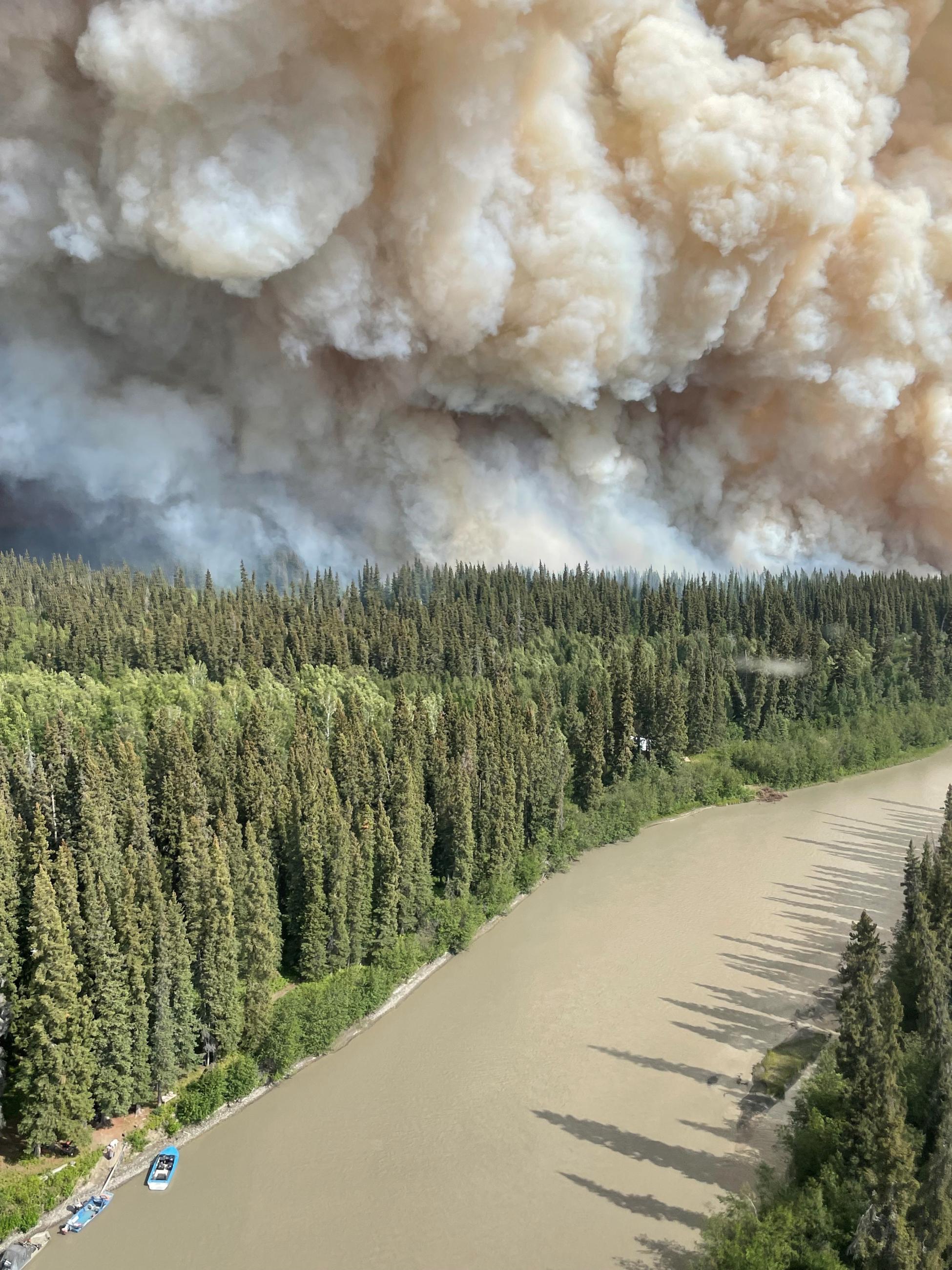 Smoke from the Teklanika River Fire (#257) with a road and dense trees in forground.