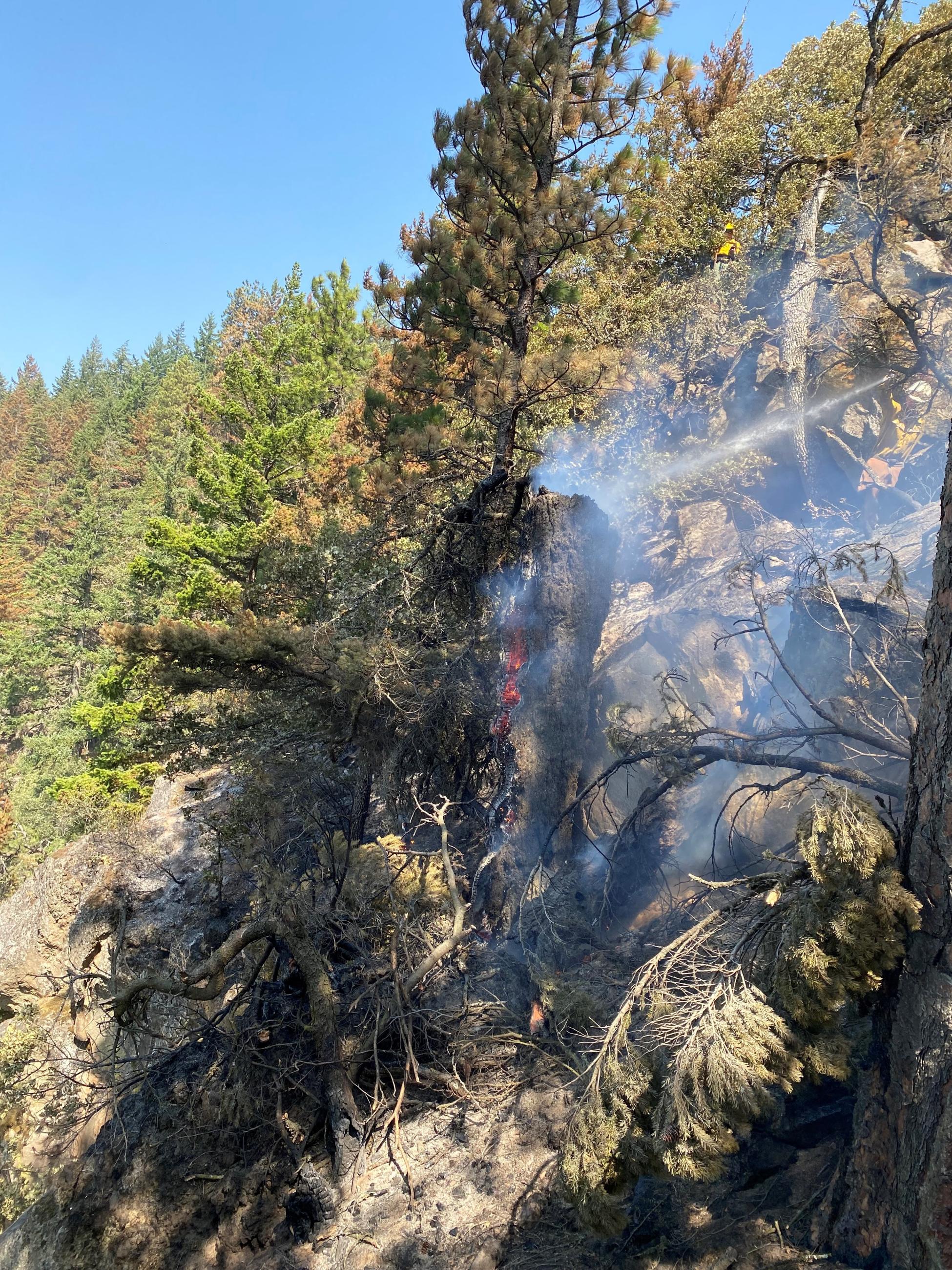 Firefighters working on a steep cliff to extinguish a burned out tree on a steep cliff.