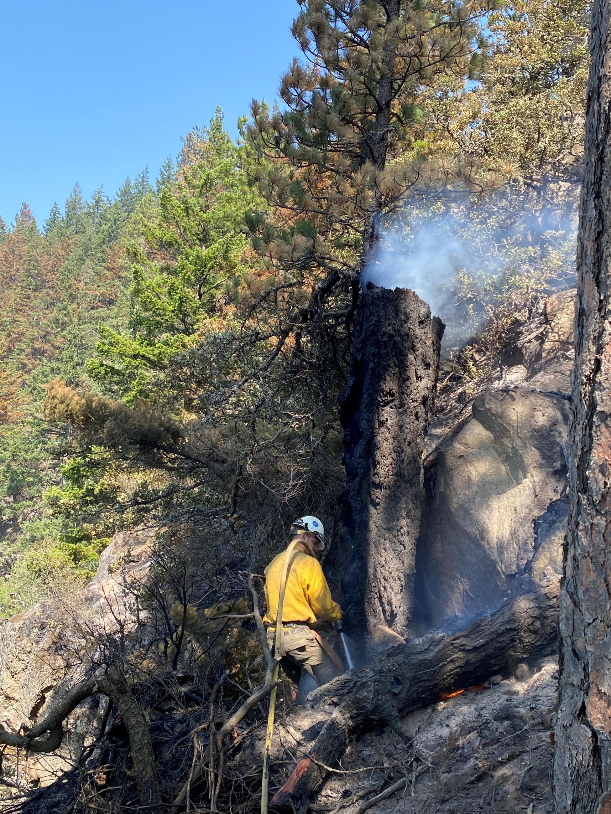 Firefighters working on a steep cliff to extinguish a burned out tree on a steep cliff.